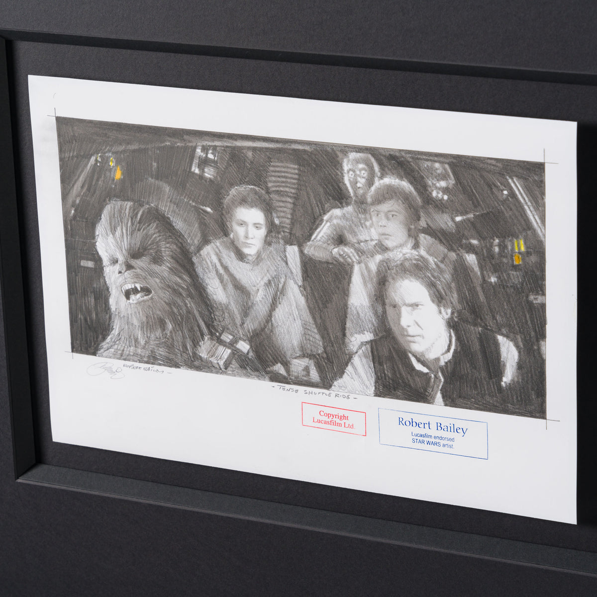 RBA ORI SKT 30777 Tense Shuttle Ride 4