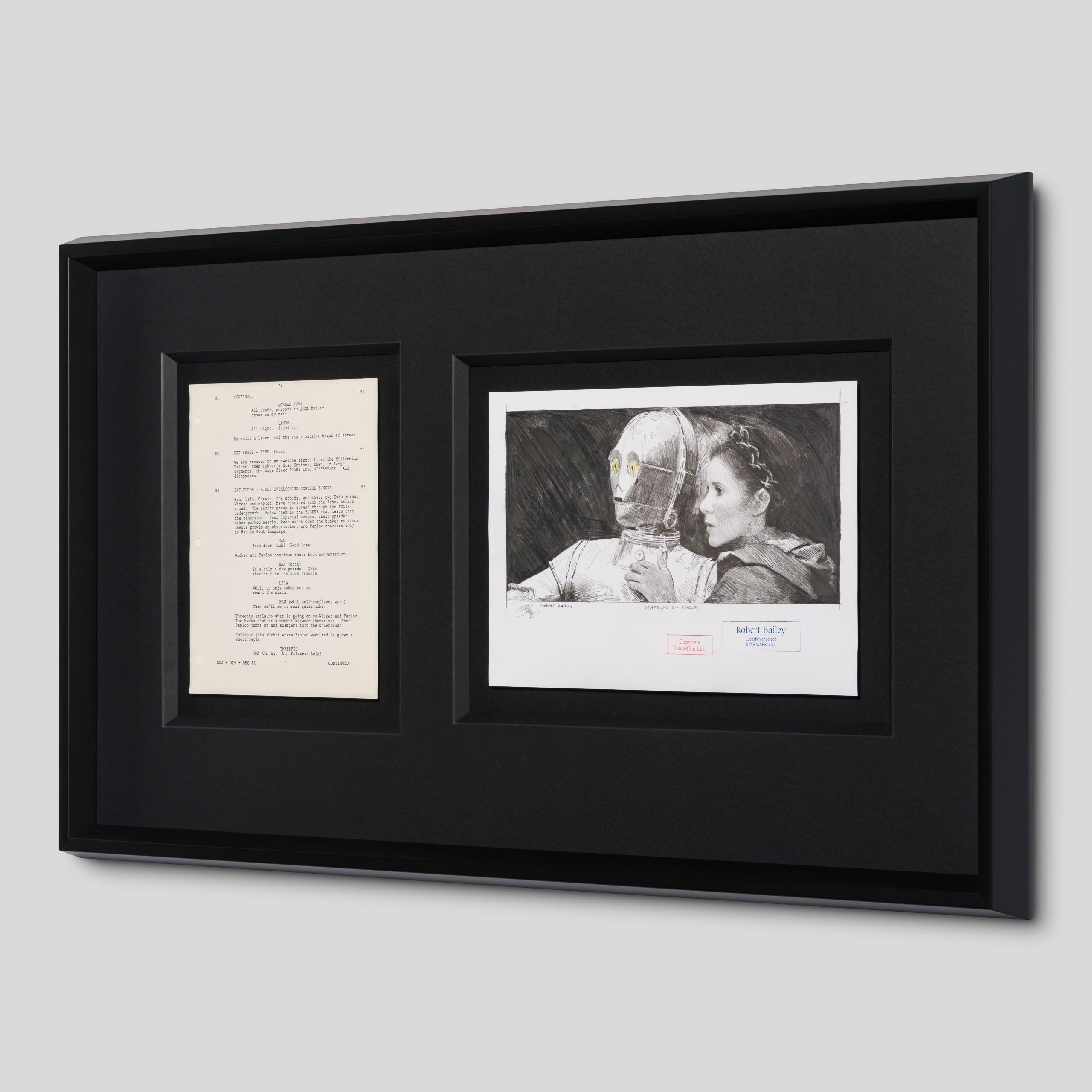 RBA ORI SKT 30778 Startled On Endor 2