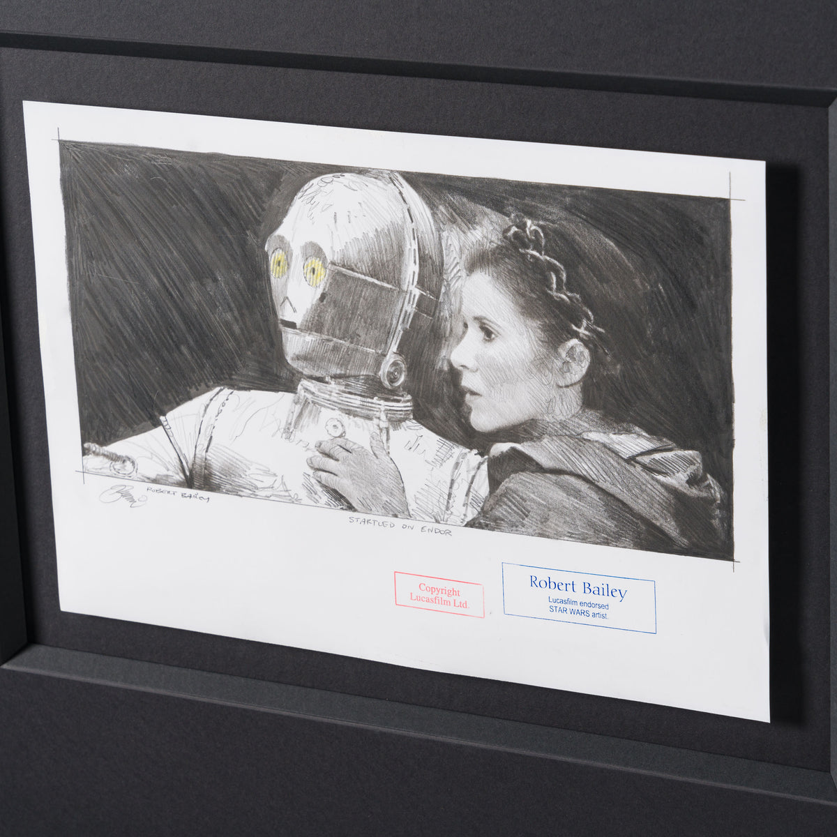 RBA ORI SKT 30778 Startled On Endor 4