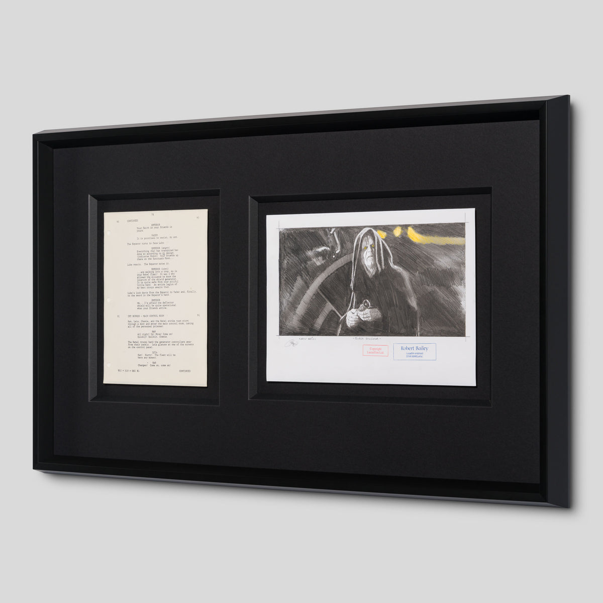 RBA ORI SKT 30796 Black Schemer 2