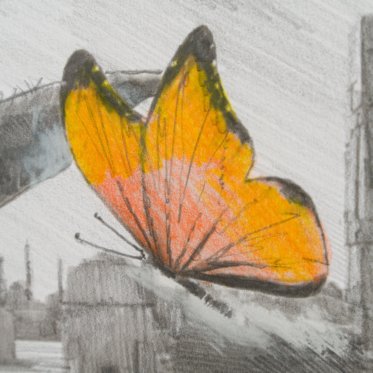 RBA ORI SKT 31444 Wonder Of Wonders 5