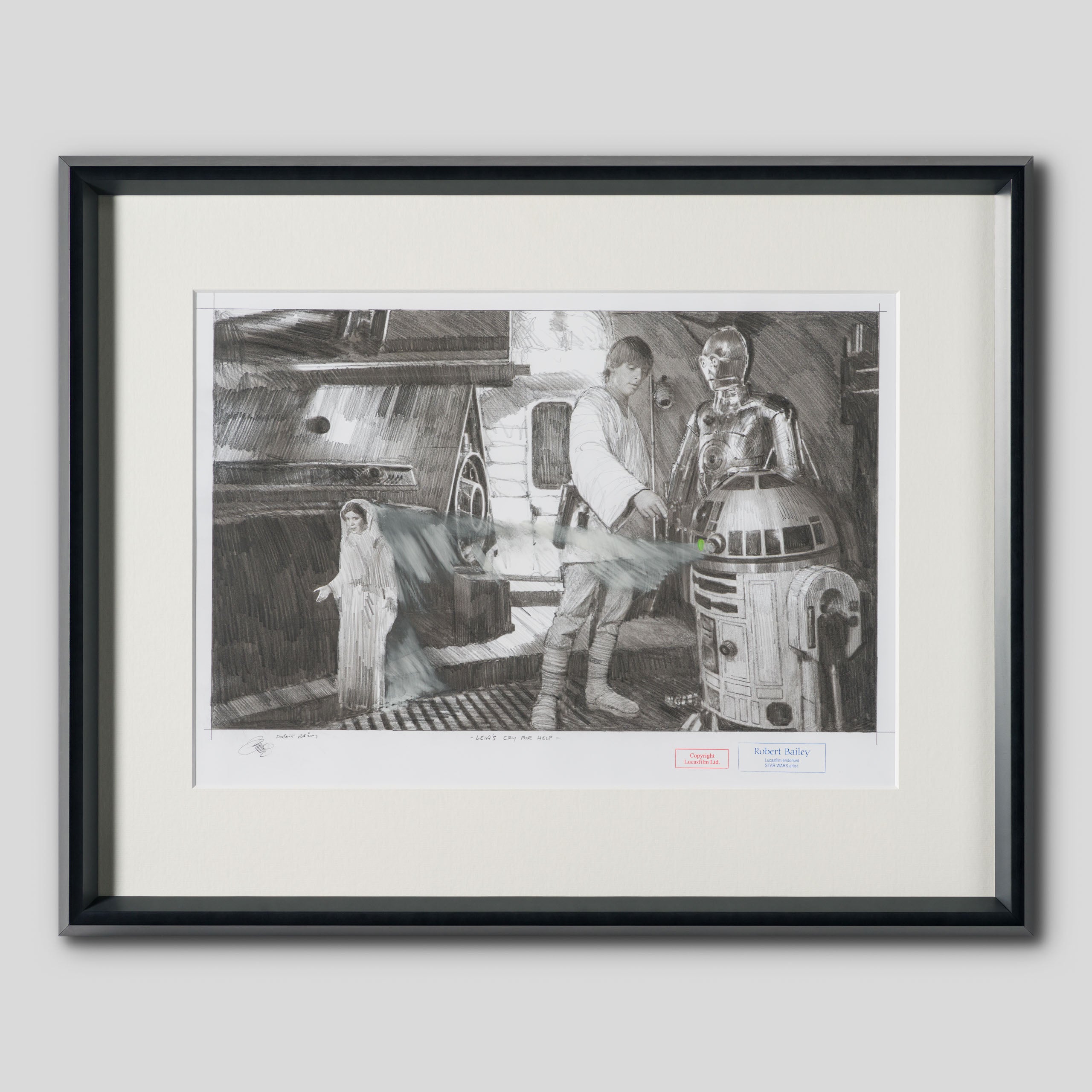 RBA ORI SKT 31449 Leia s Cry For Help 1