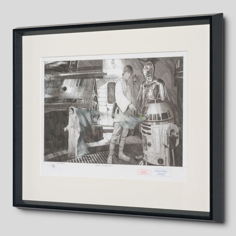 RBA ORI SKT 31449 Leia s Cry For Help 2