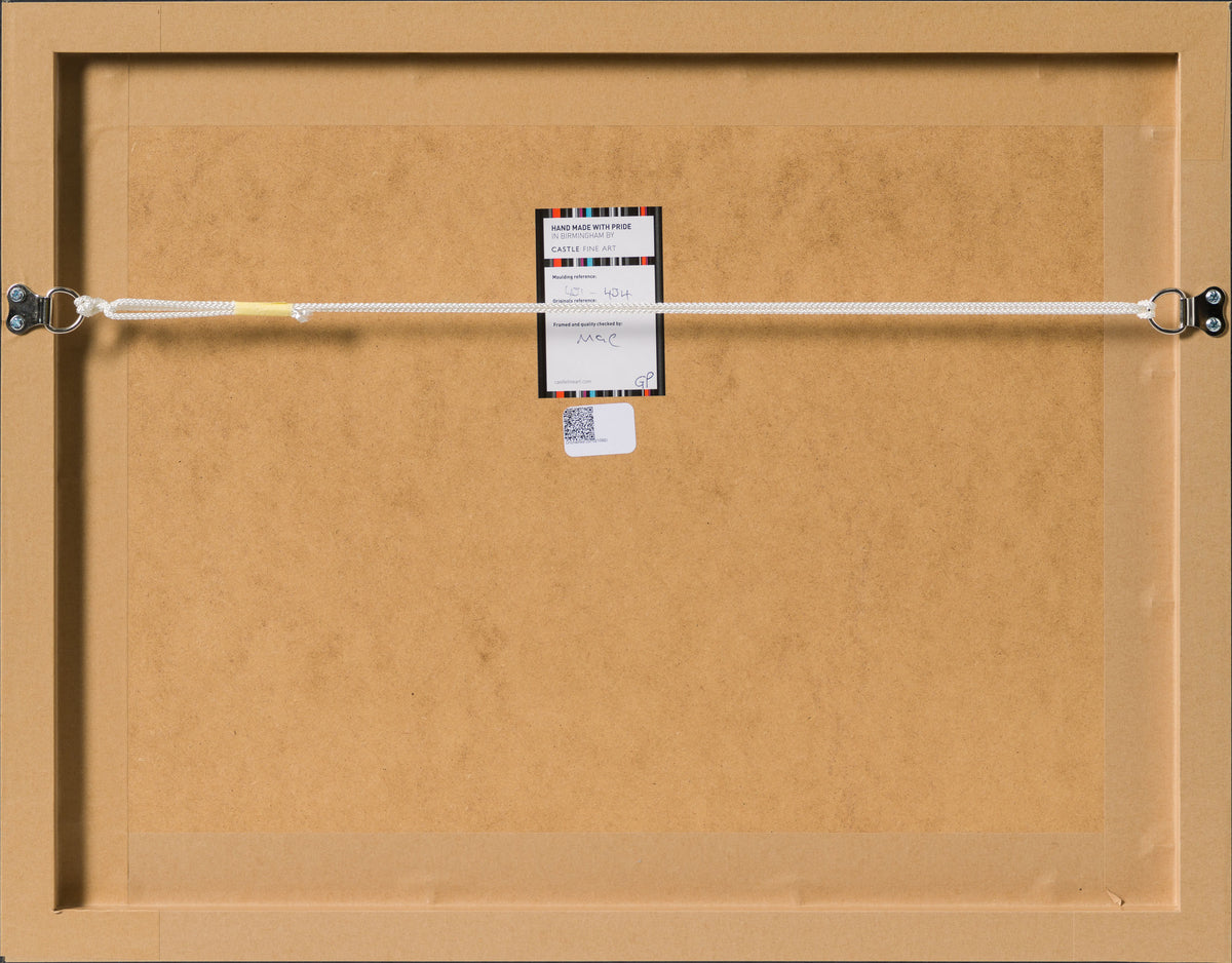 RBA ORI SKT 31450 Leia Unchained 7