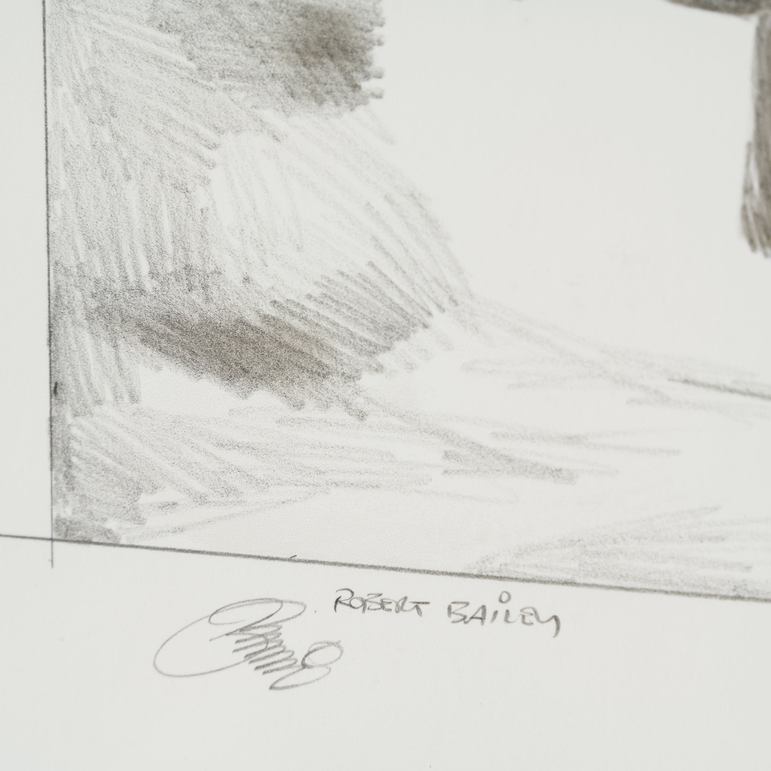 RBA ORI SKT 32334 The Force In Action 3