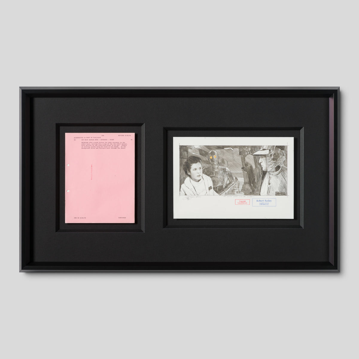 RBA ORI SKT 32345 The Shield Doors Must Be Closed 1