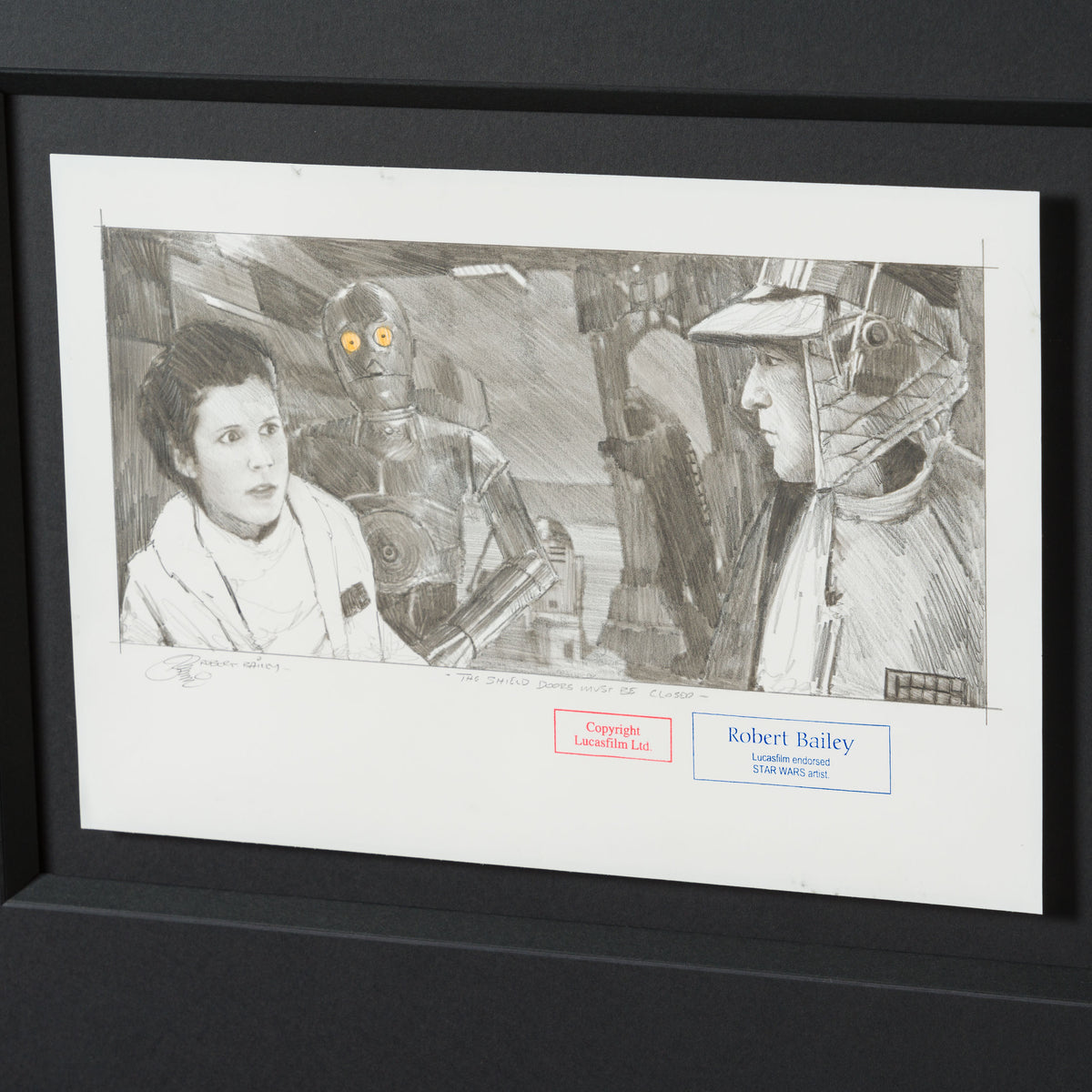 RBA ORI SKT 32345 The Shield Doors Must Be Closed 6