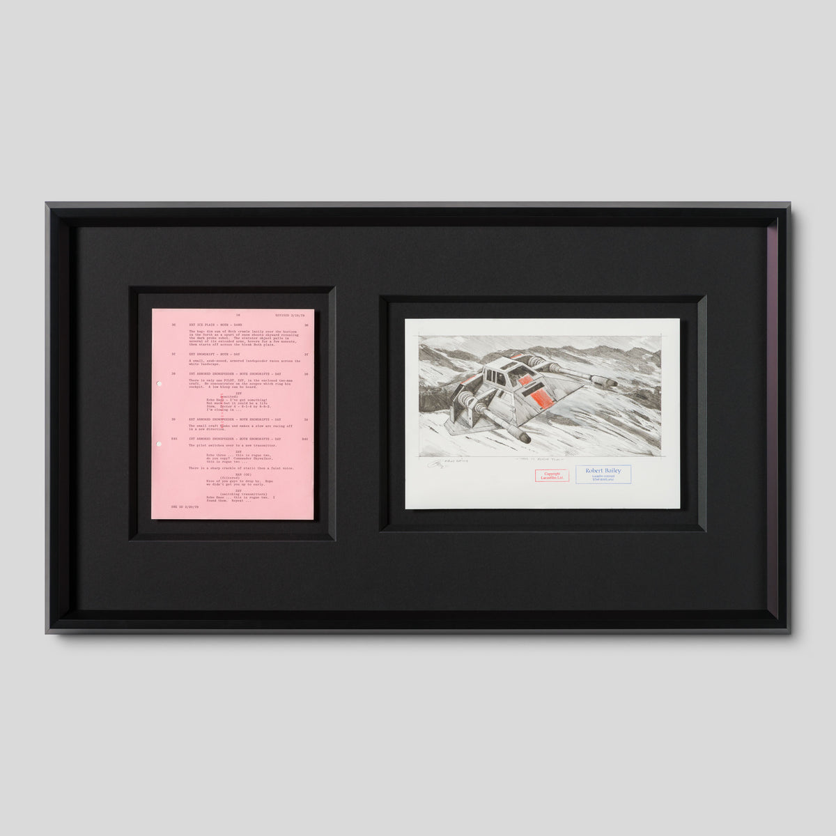 RBA ORI SKT 32347 This Is Rogue Two 1