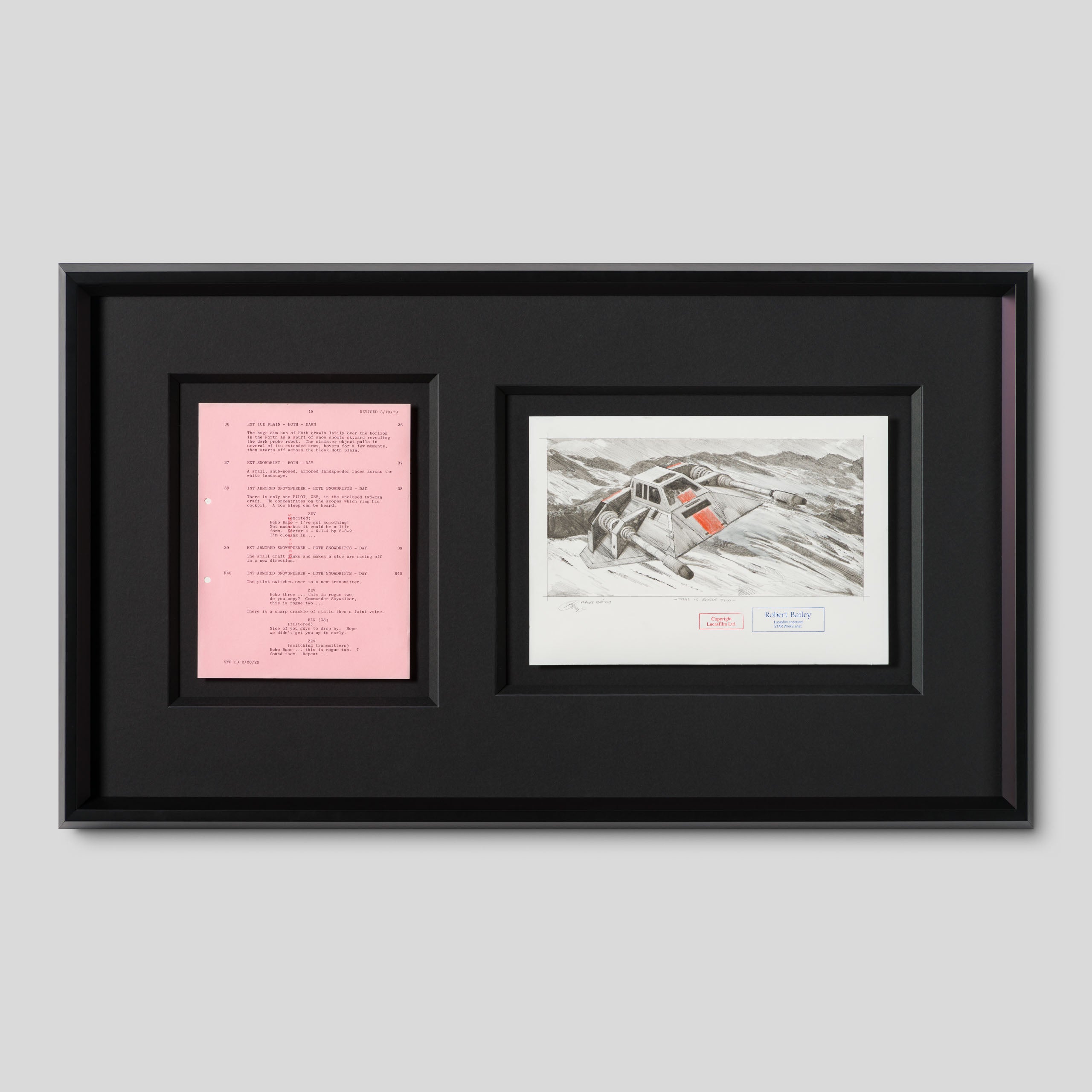 RBA ORI SKT 32347 This Is Rogue Two 1