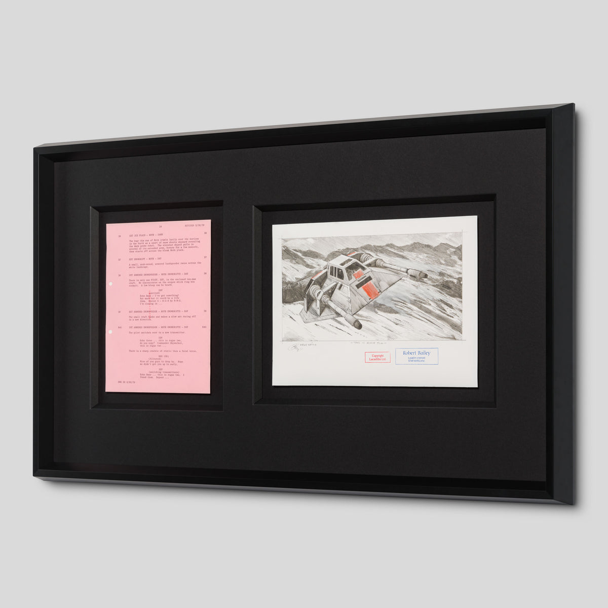 RBA ORI SKT 32347 This Is Rogue Two 2