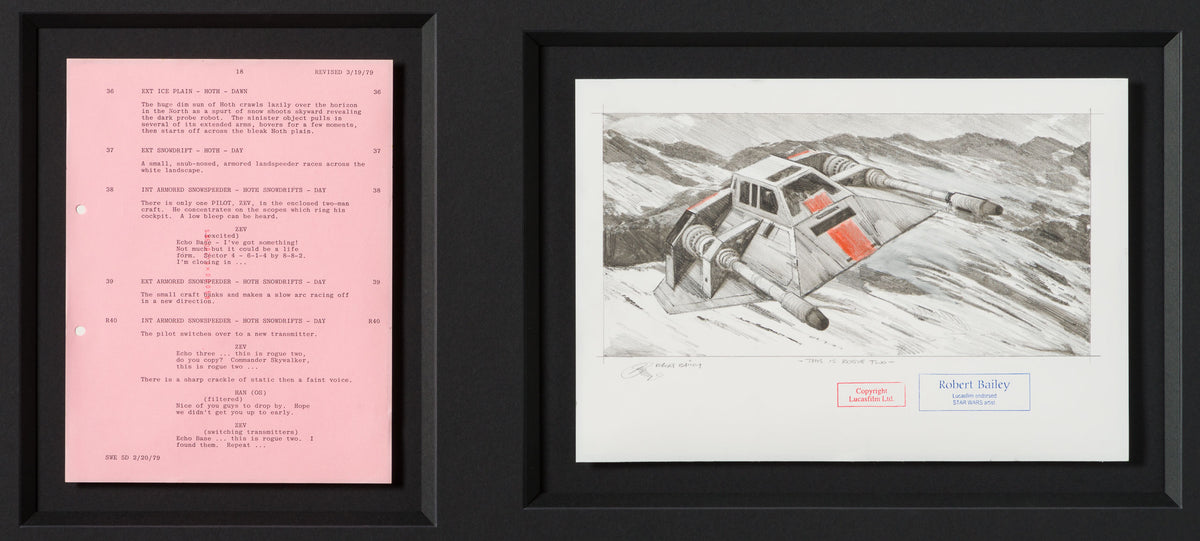 RBA ORI SKT 32347 This Is Rogue Two 31