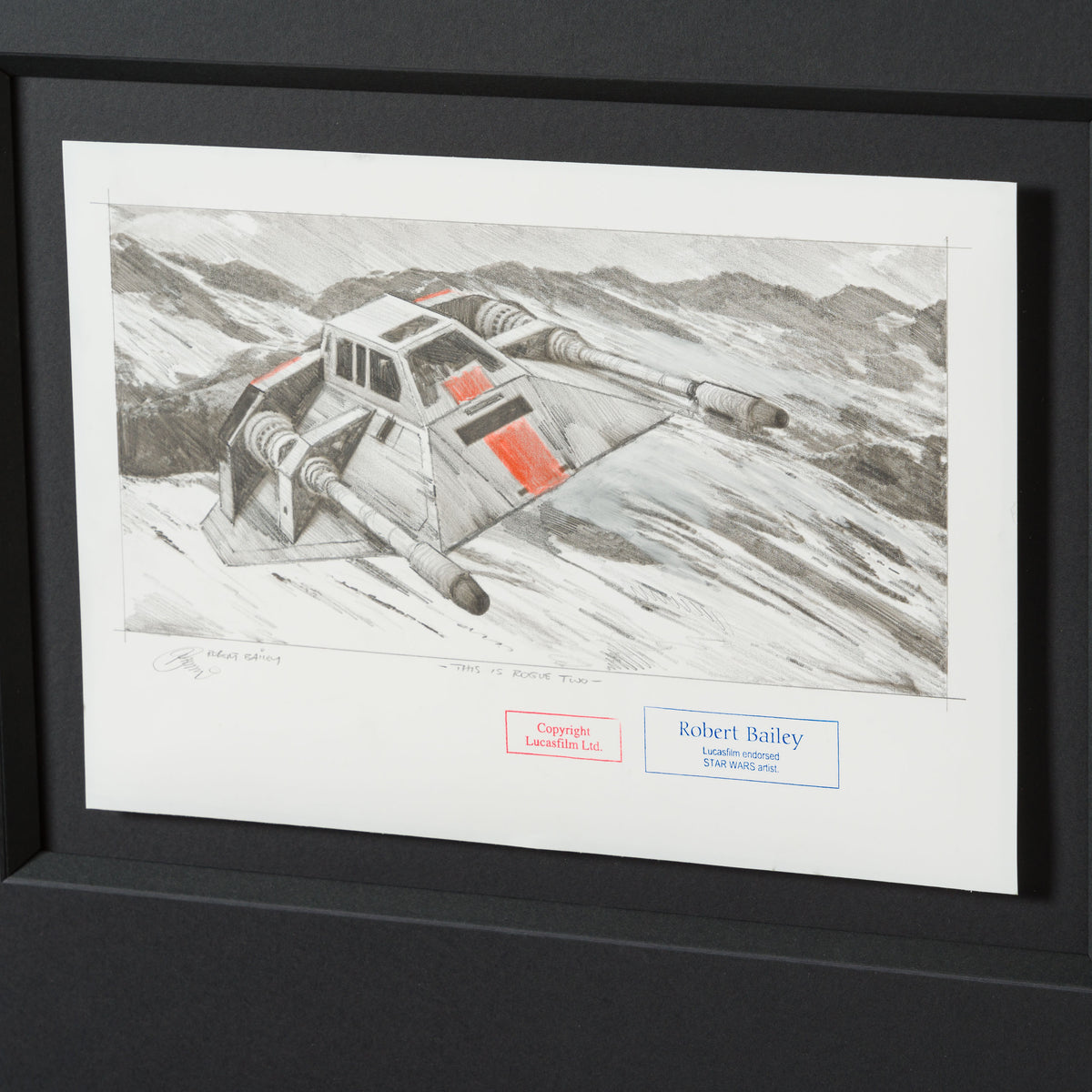 RBA ORI SKT 32347 This Is Rogue Two 6