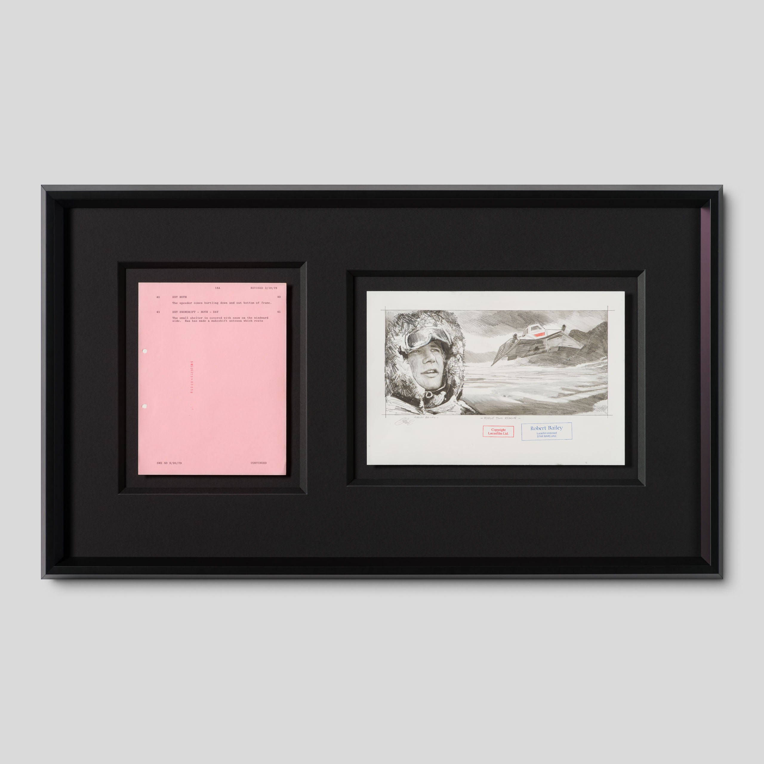 RBA ORI SKT 32348 Rogue Two Rescue 1