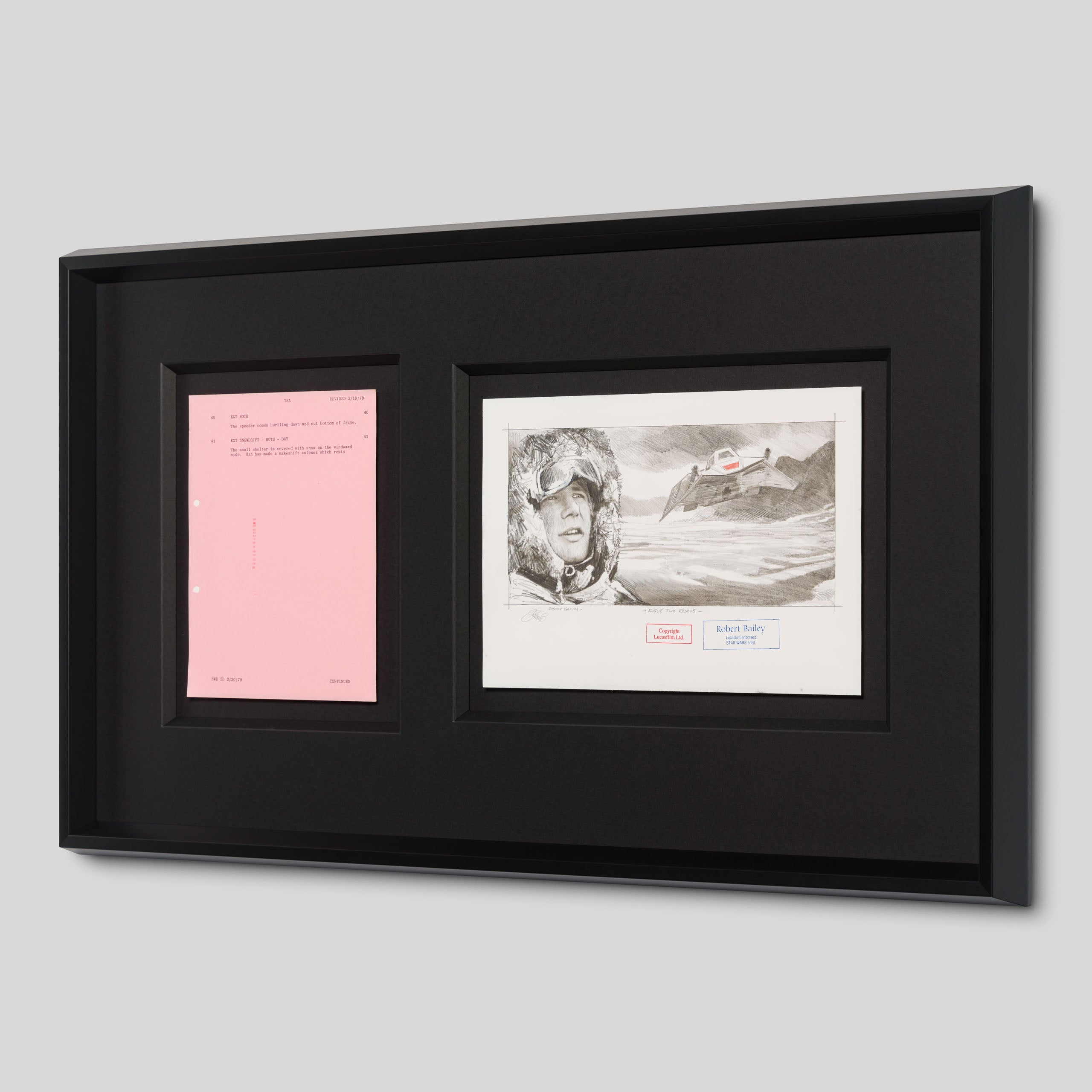 RBA ORI SKT 32348 Rogue Two Rescue 2