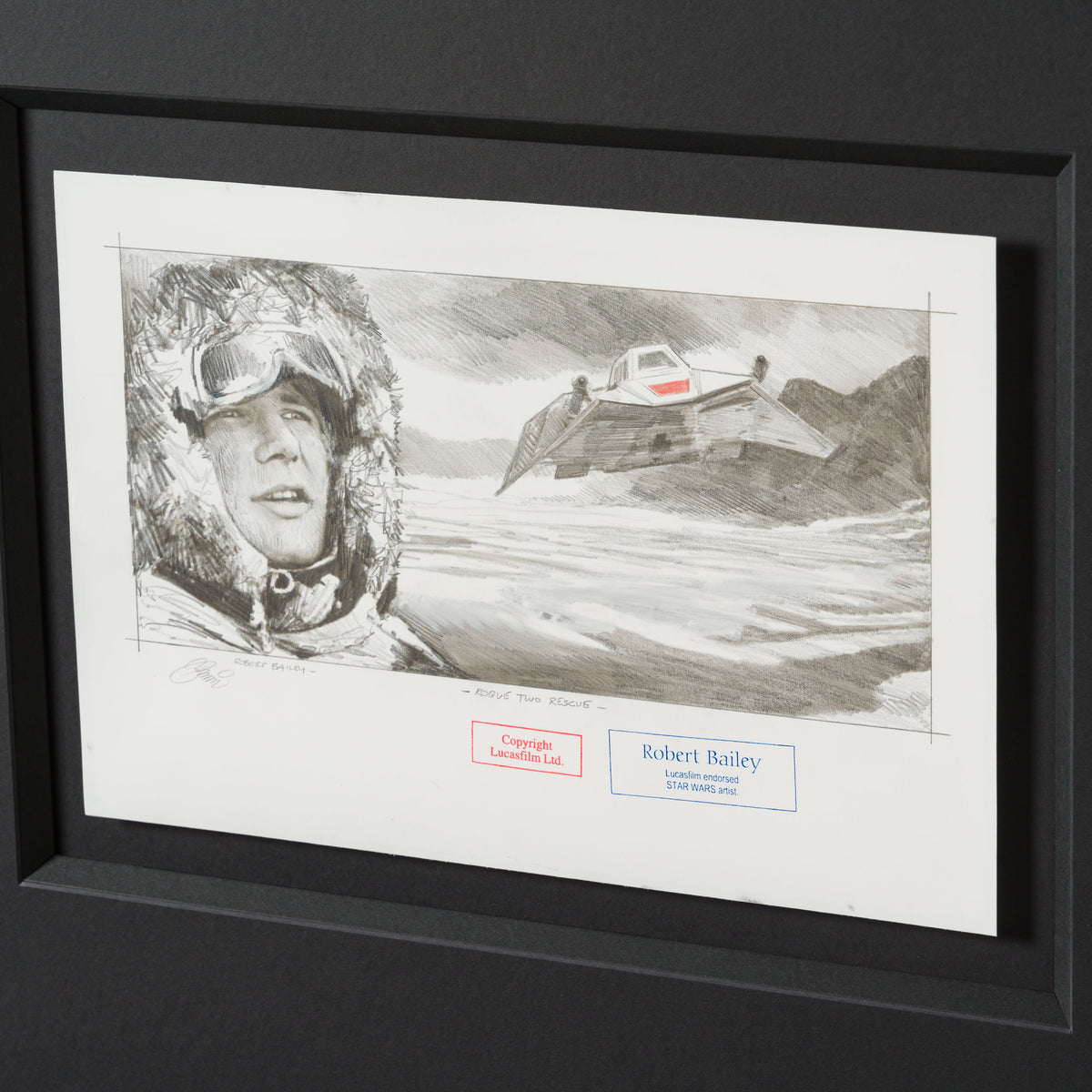 RBA ORI SKT 32348 Rogue Two Rescue 6