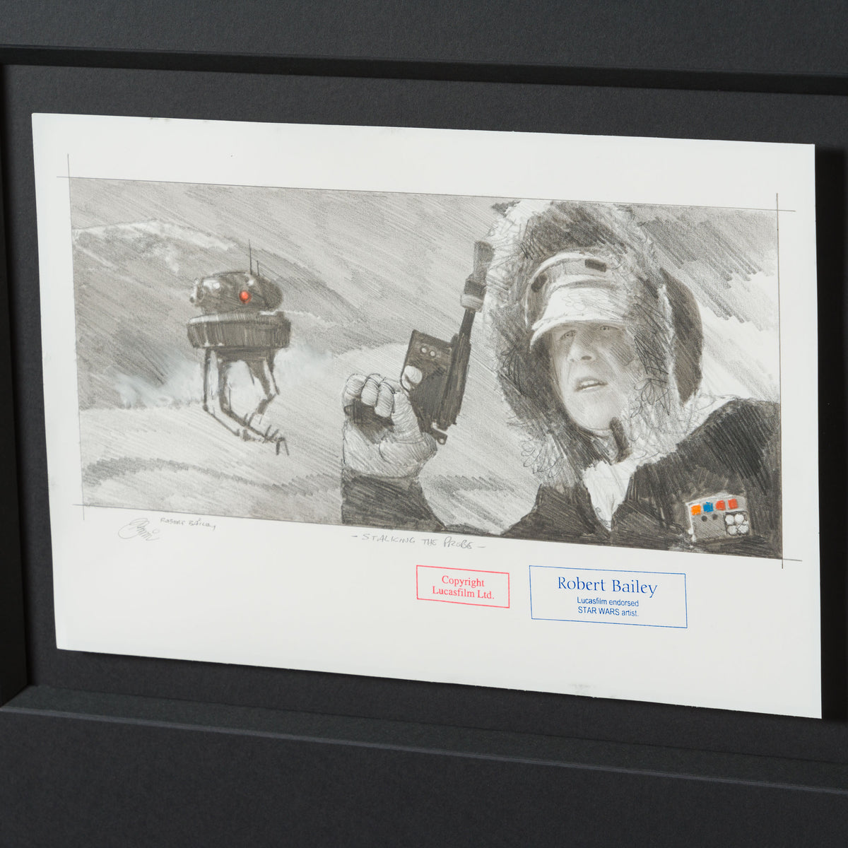 RBA ORI SKT 32352 Stalking The Probe 6