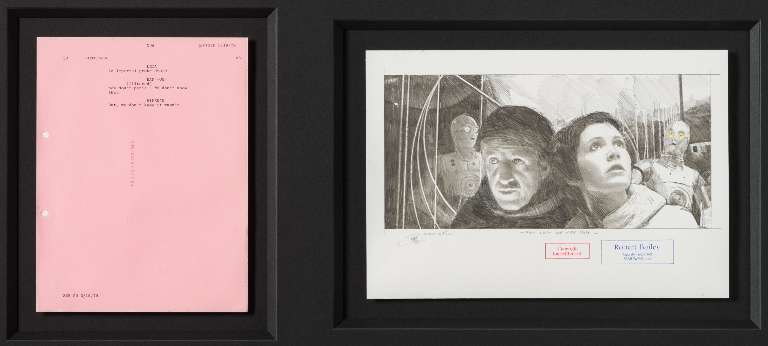 RBA ORI SKT 32354 They Know We Are Here 31