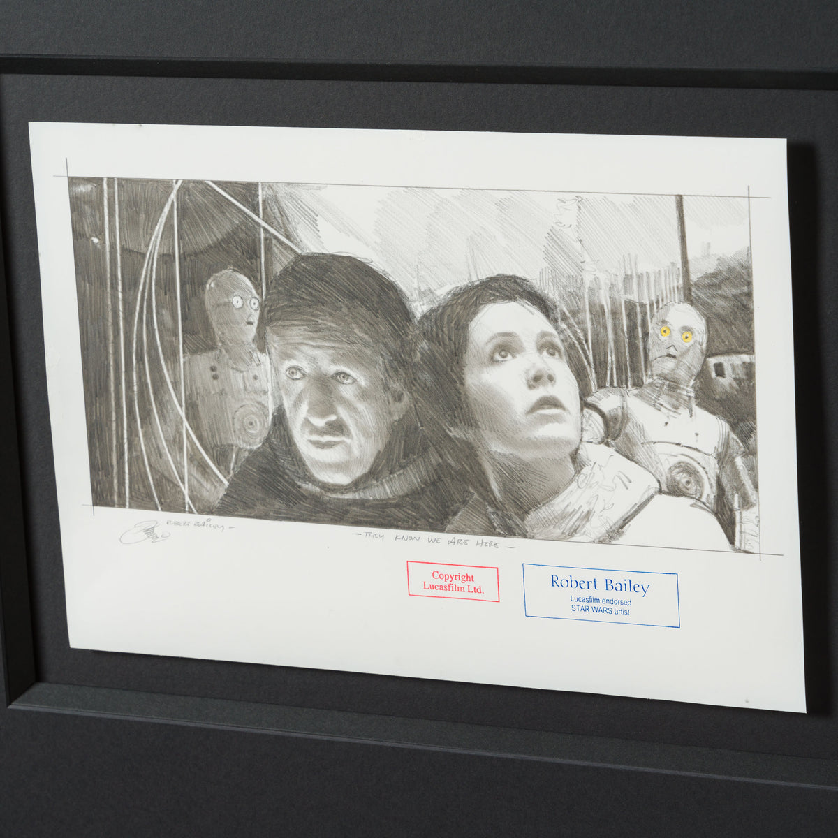 RBA ORI SKT 32354 They Know We Are Here 6