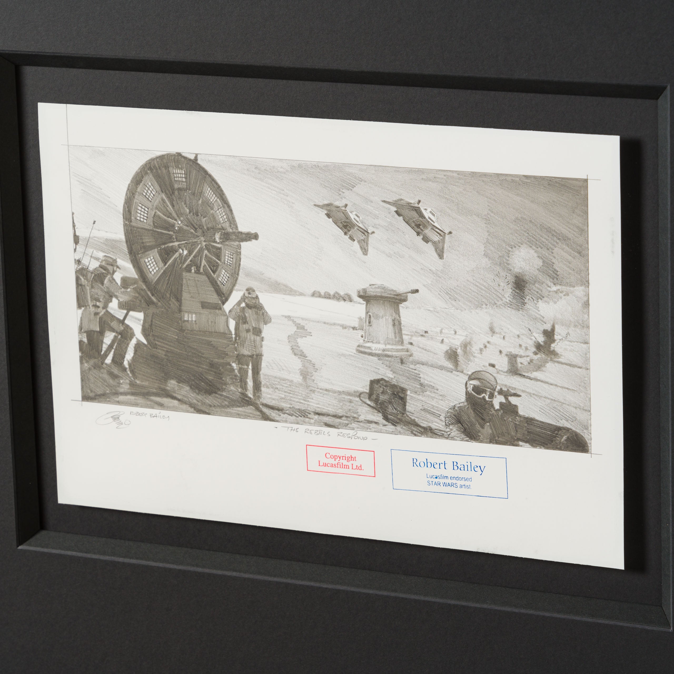 RBA ORI SKT 32366 The Rebels Respond 6