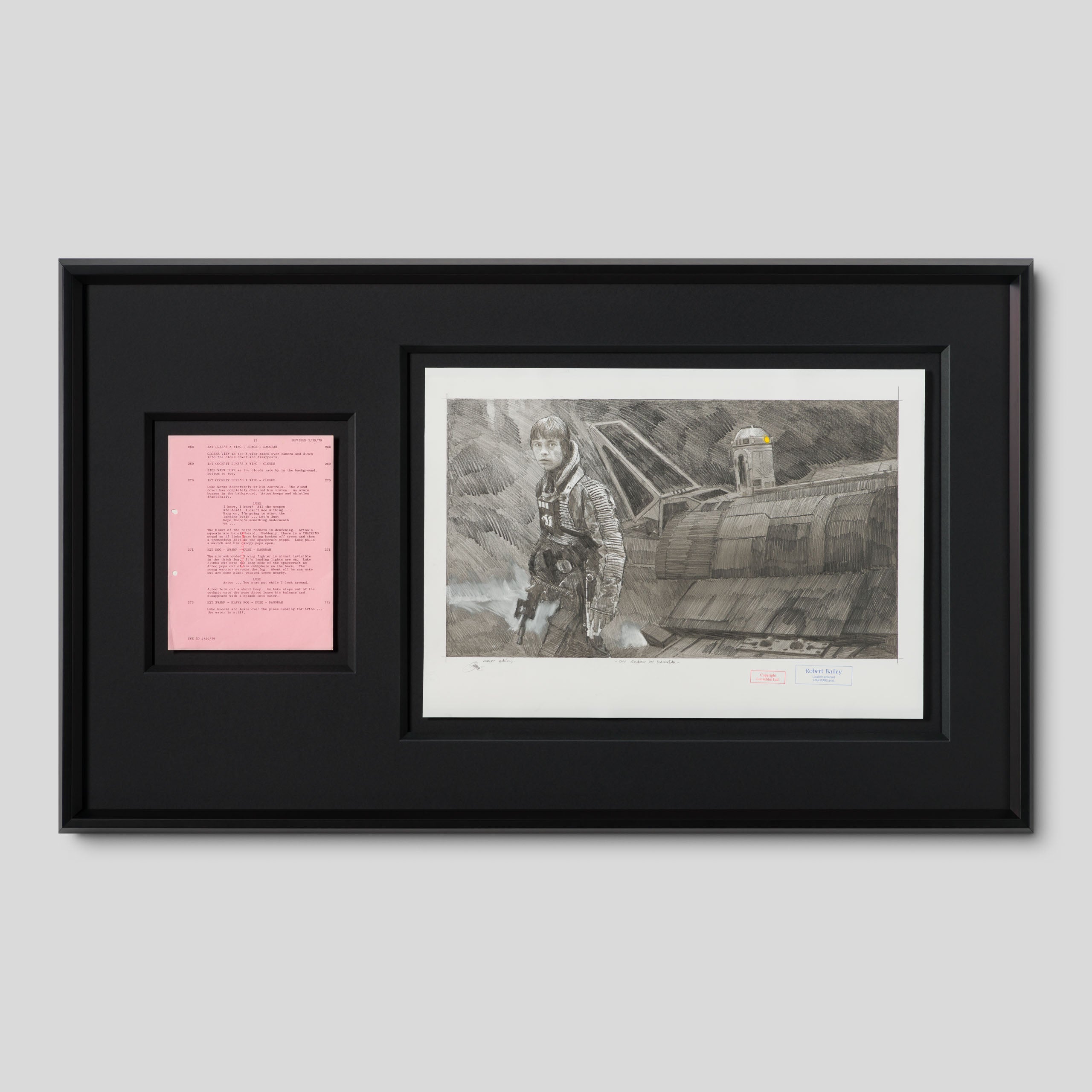 RBA ORI SKT 32501 On Guard On Dagobah 1