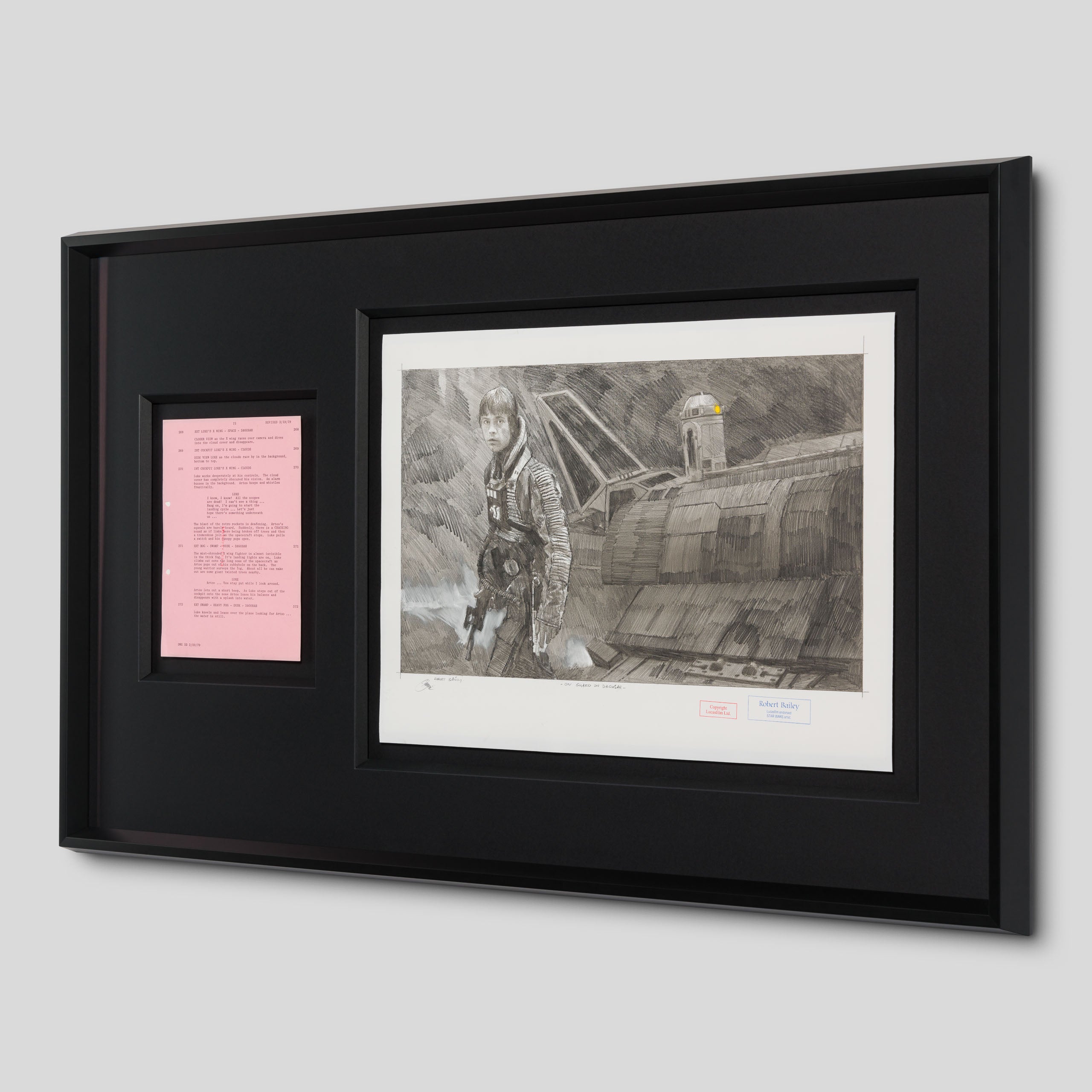 RBA ORI SKT 32501 On Guard On Dagobah 2