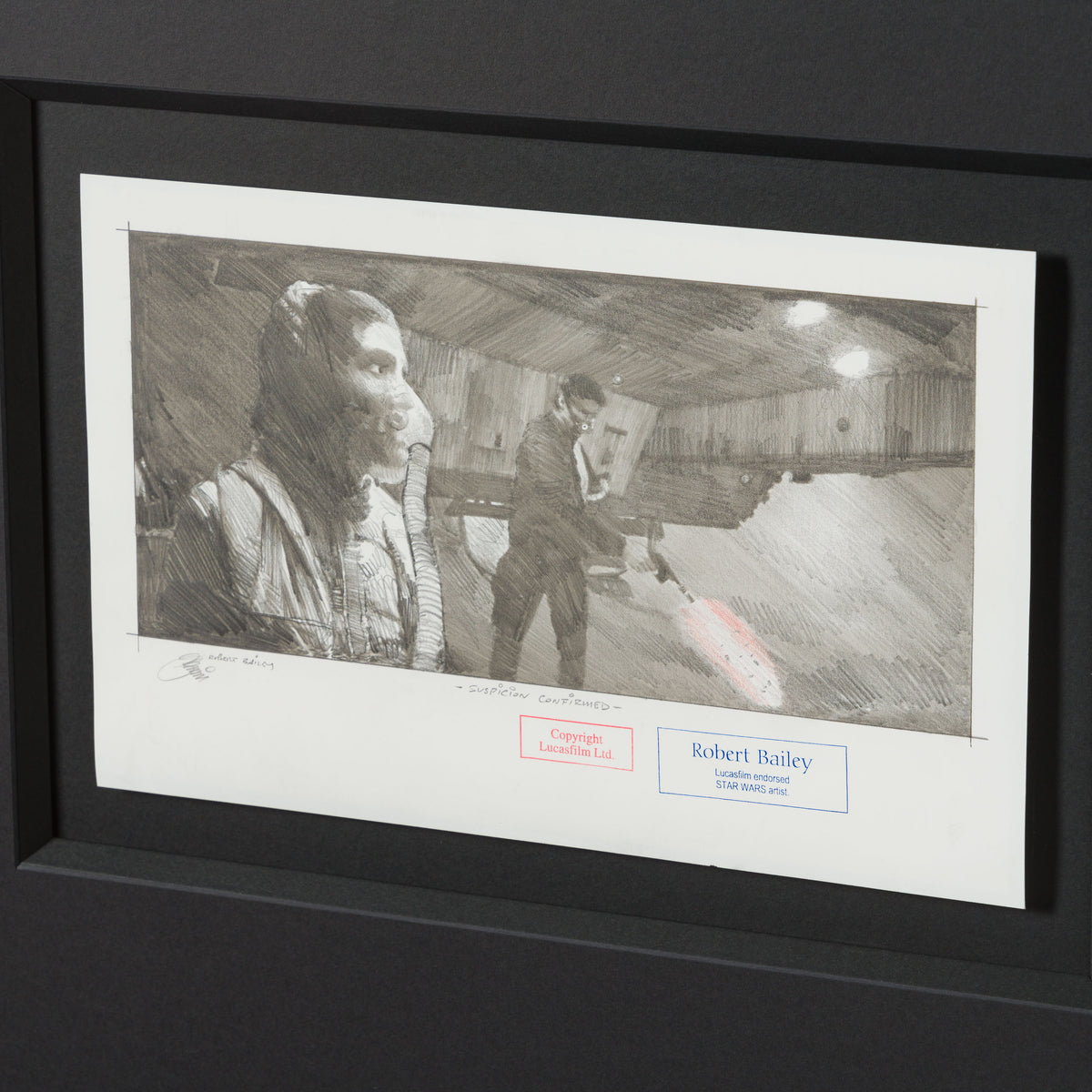 RBA ORI SKT 32625 Suspicion Confirmed 4