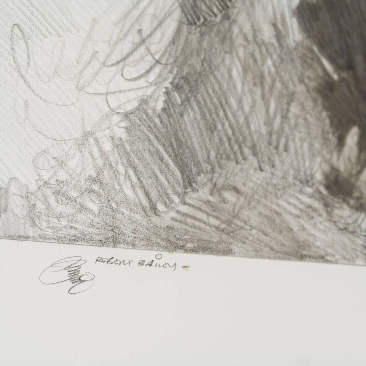 RBA ORI SKT 32628 Winter Wampa 5