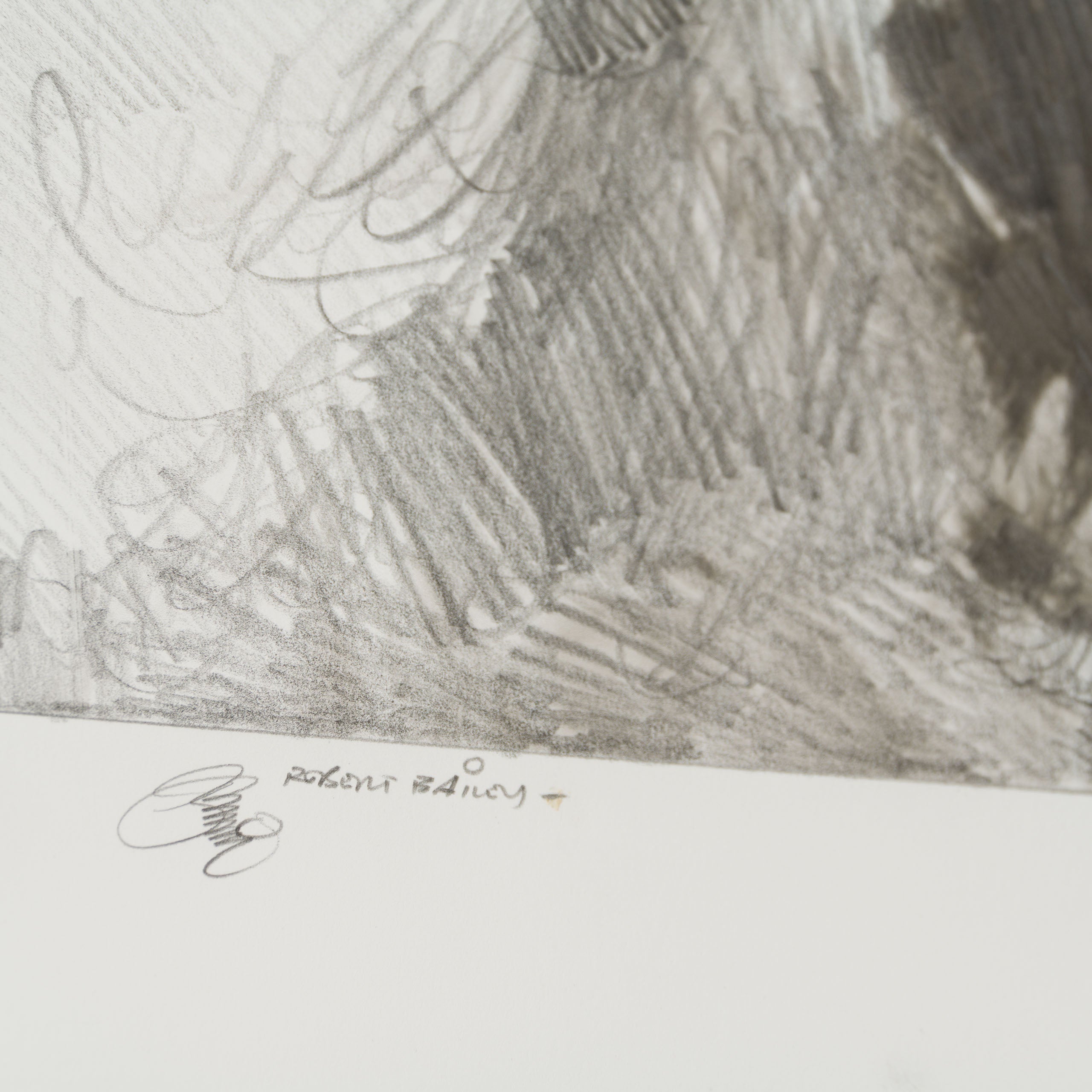 RBA ORI SKT 32628 Winter Wampa 5