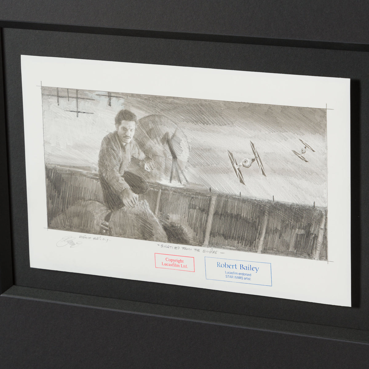 RBA ORI SKT 32936 Snatched From The Empire 4