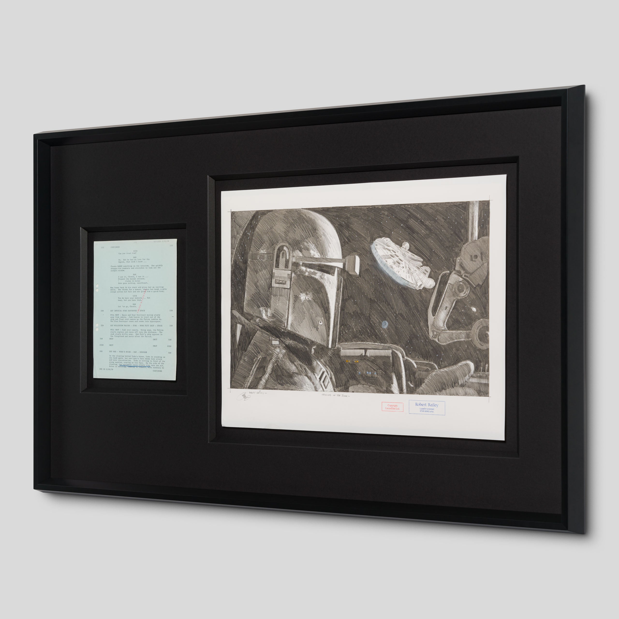 RBA ORI SKT 32950 Hiding In The Junk 2