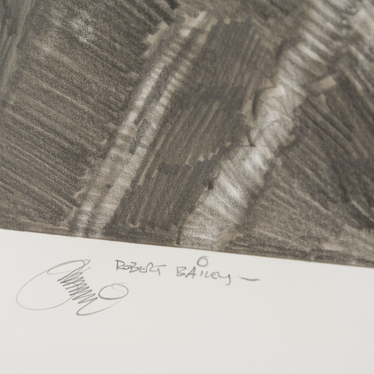 RBA ORI SKT 32950 Hiding In The Junk 5