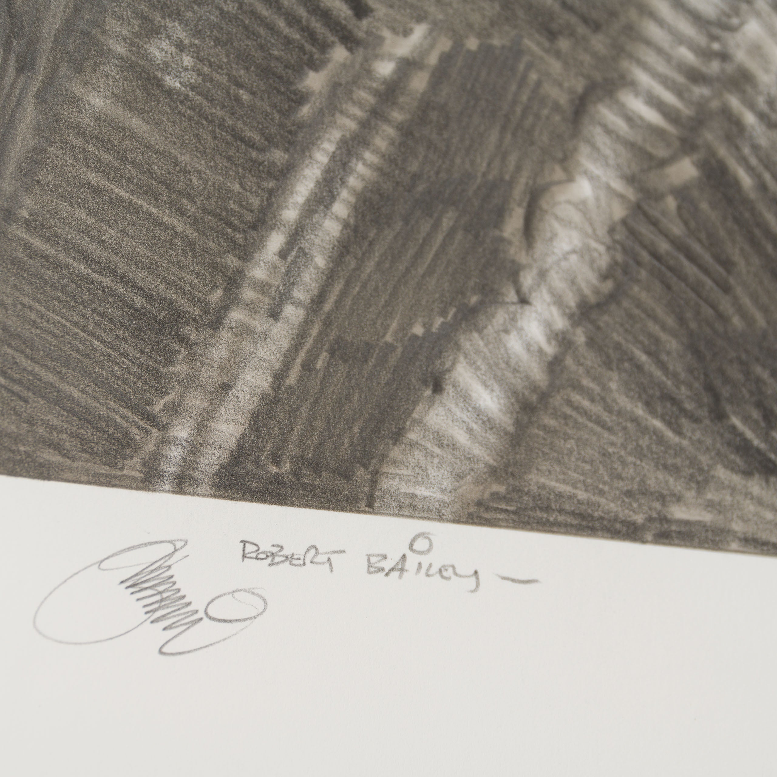 RBA ORI SKT 32950 Hiding In The Junk 5