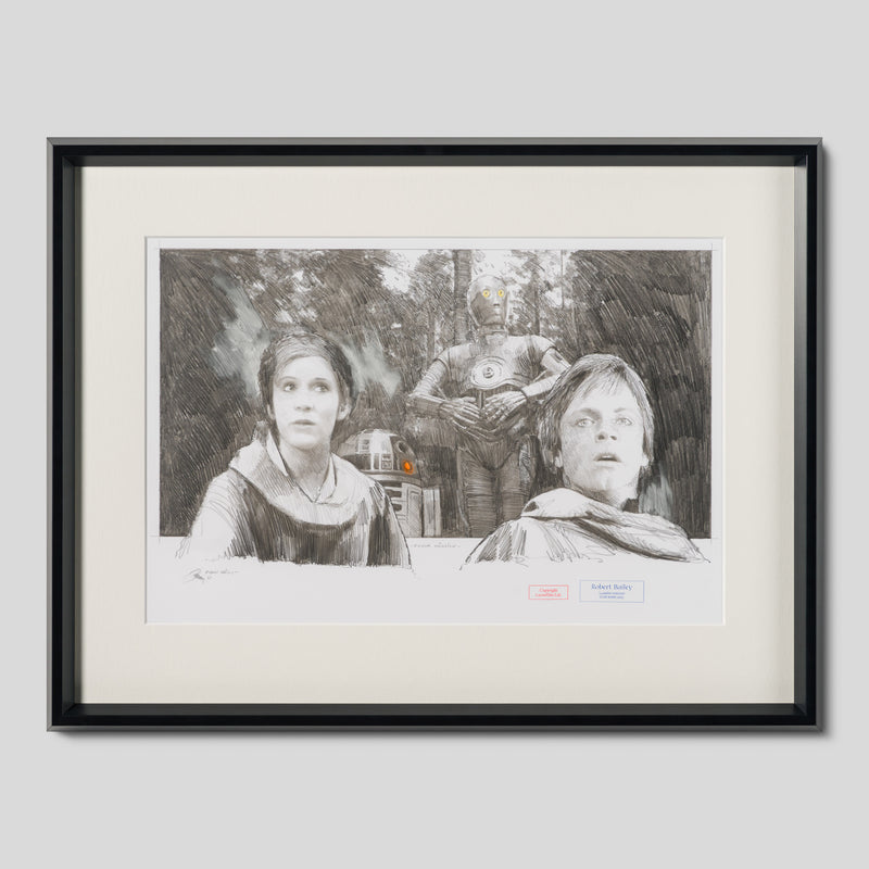 RBA ORI SKT 34198 Endor Mission 1