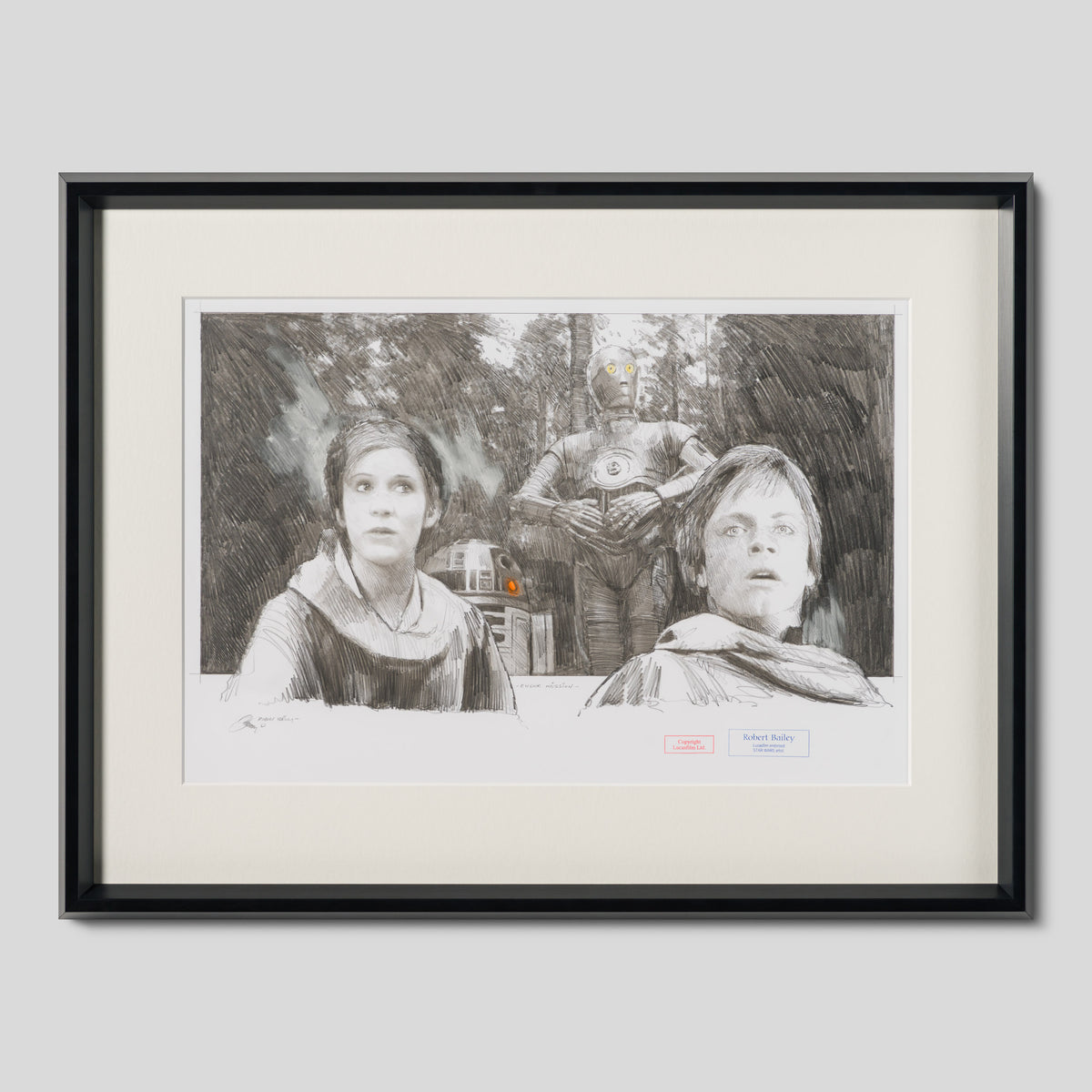 RBA ORI SKT 34198 Endor Mission 1