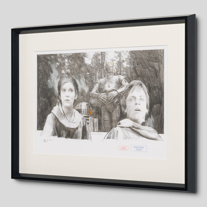 RBA ORI SKT 34198 Endor Mission 2