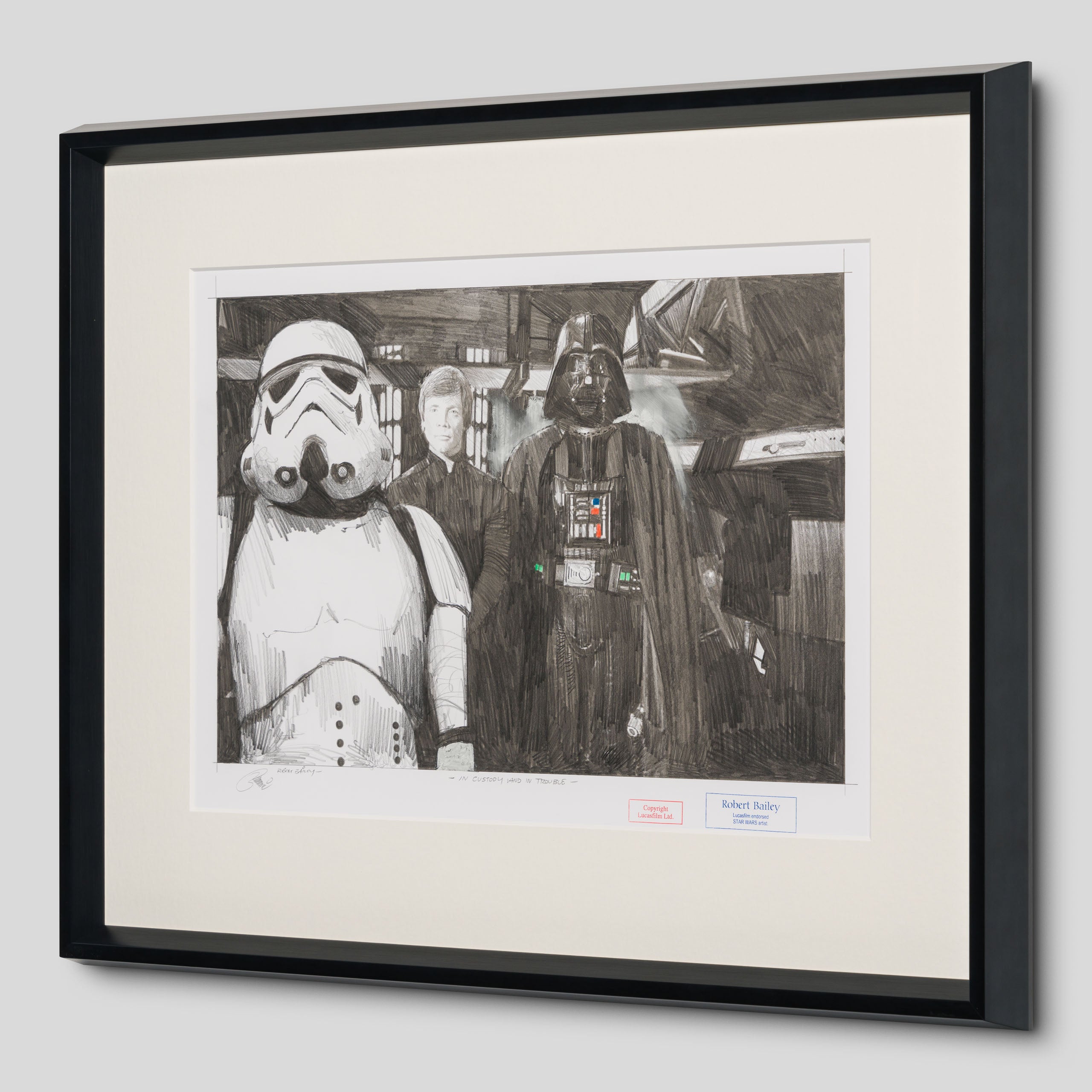 RBA ORI SKT 34215 In Custody And In Trouble 2