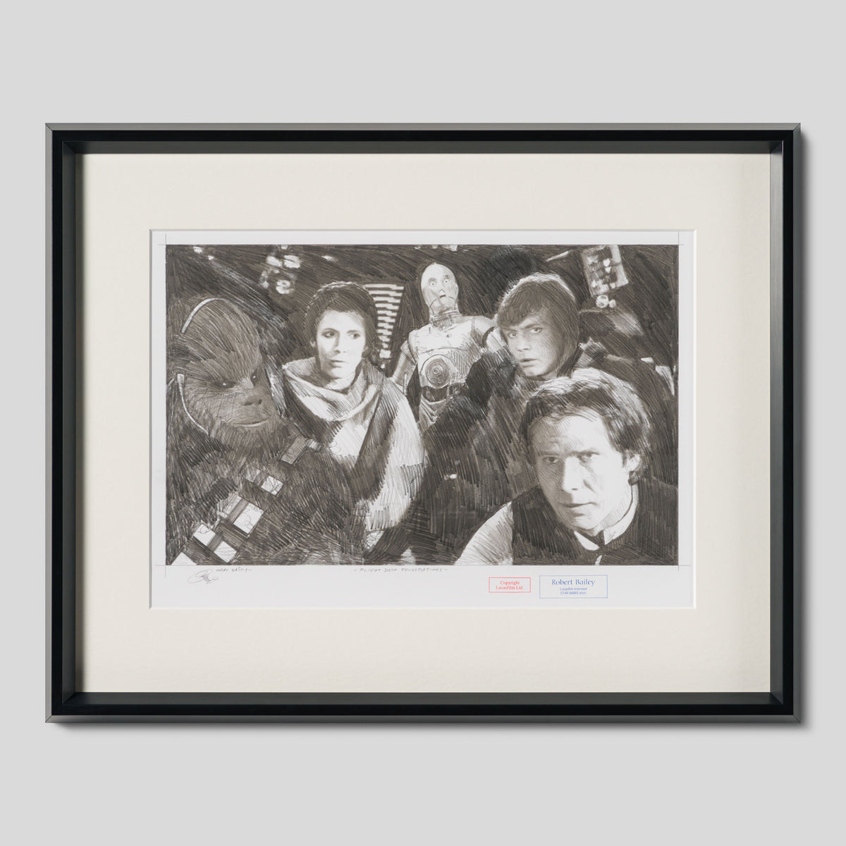 RBA ORI SKT 34219 Flight Deck Frustrations 1