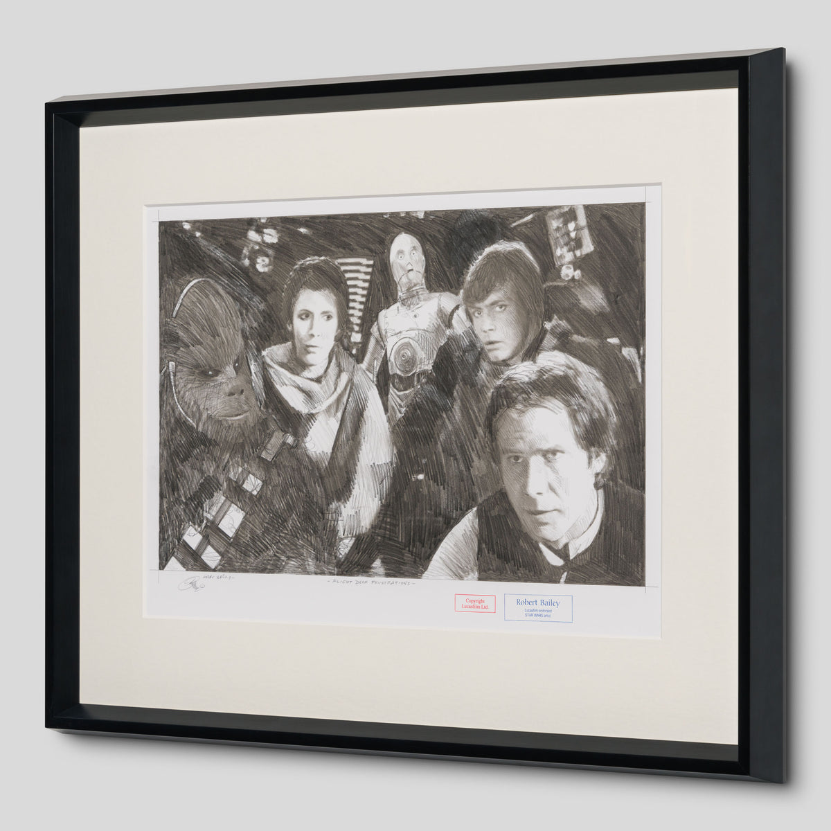 RBA ORI SKT 34219 Flight Deck Frustrations 2