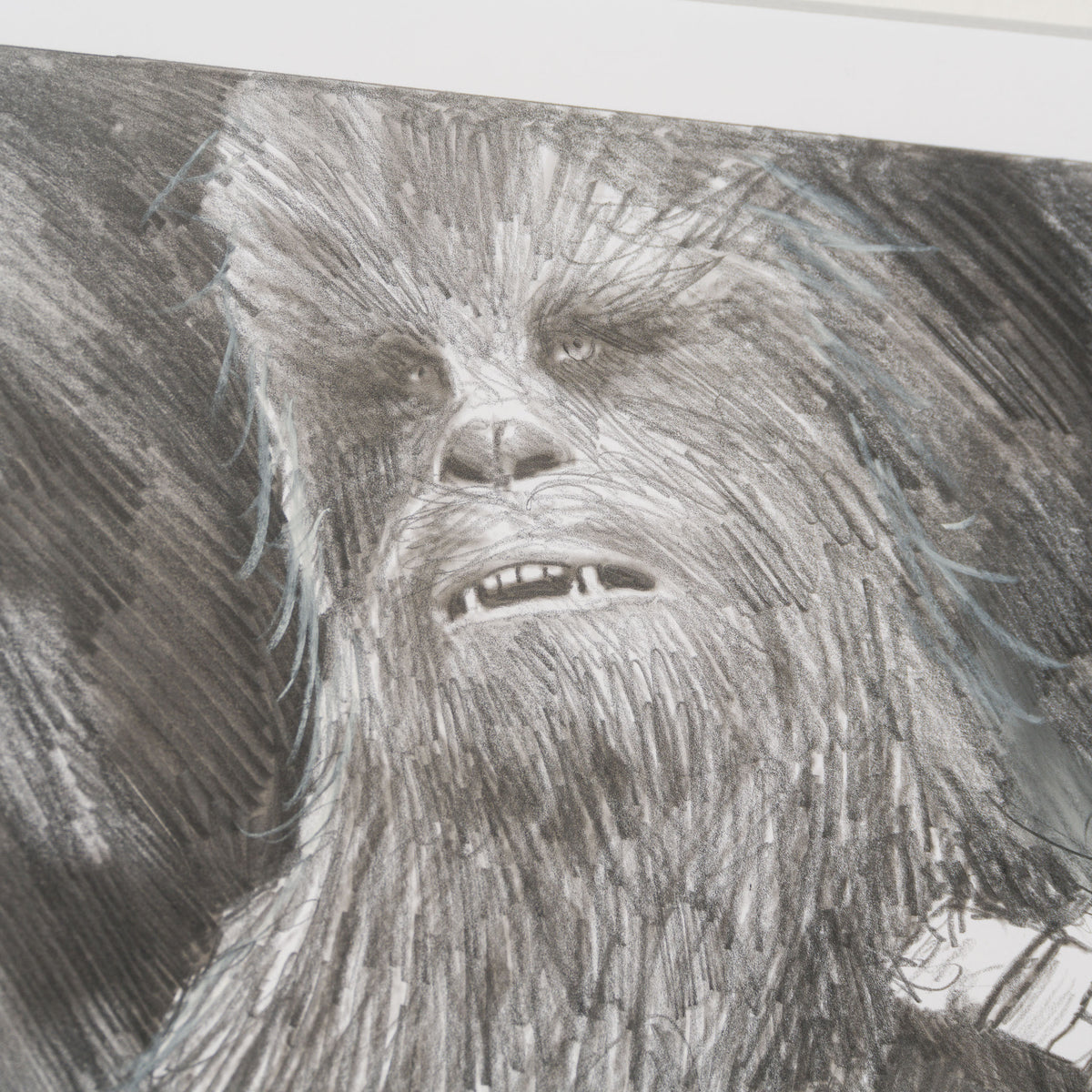 RBA ORI SKT 34232 Warrior s Wookie 4