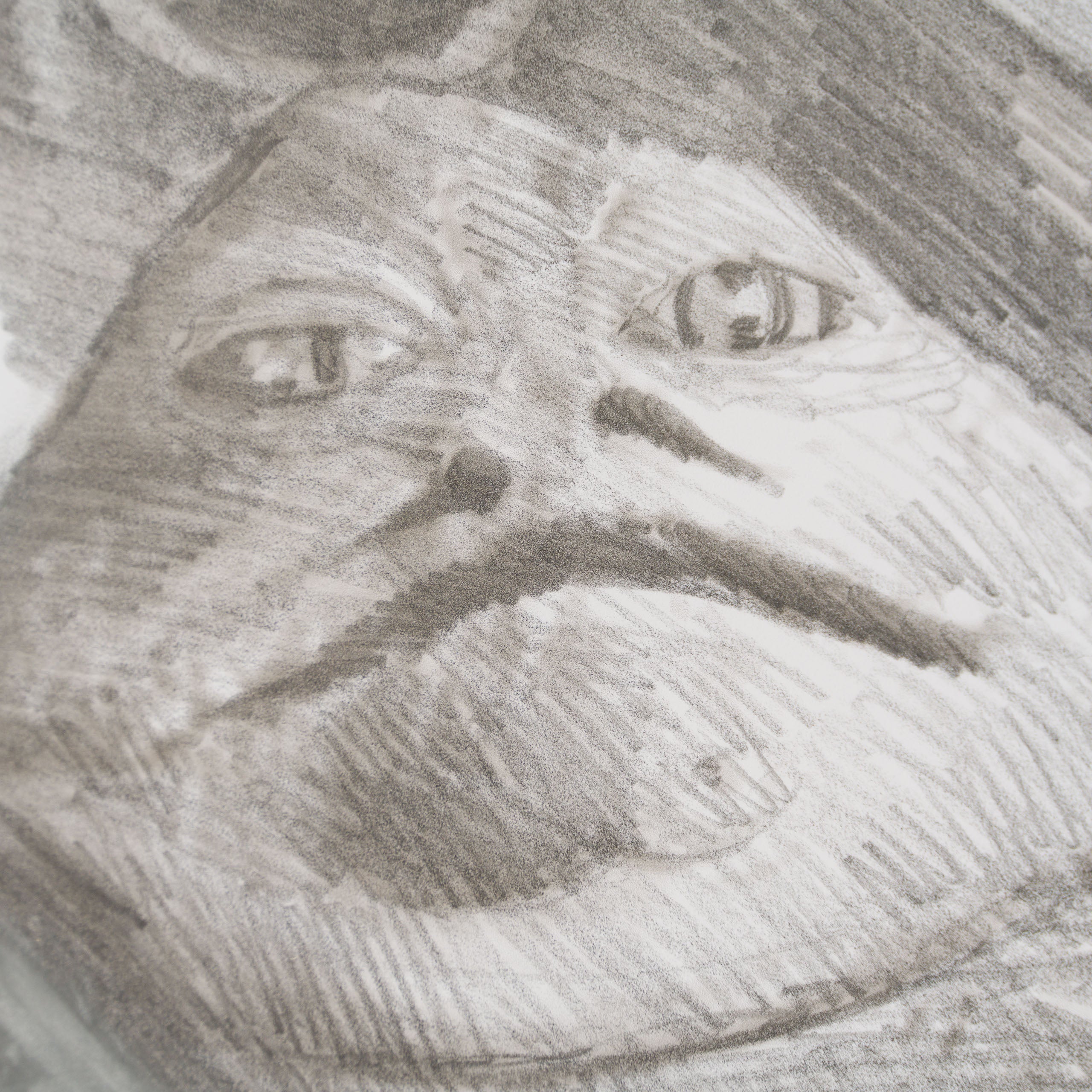 RBA ORI SKT 34282 Rescue Attempt 6