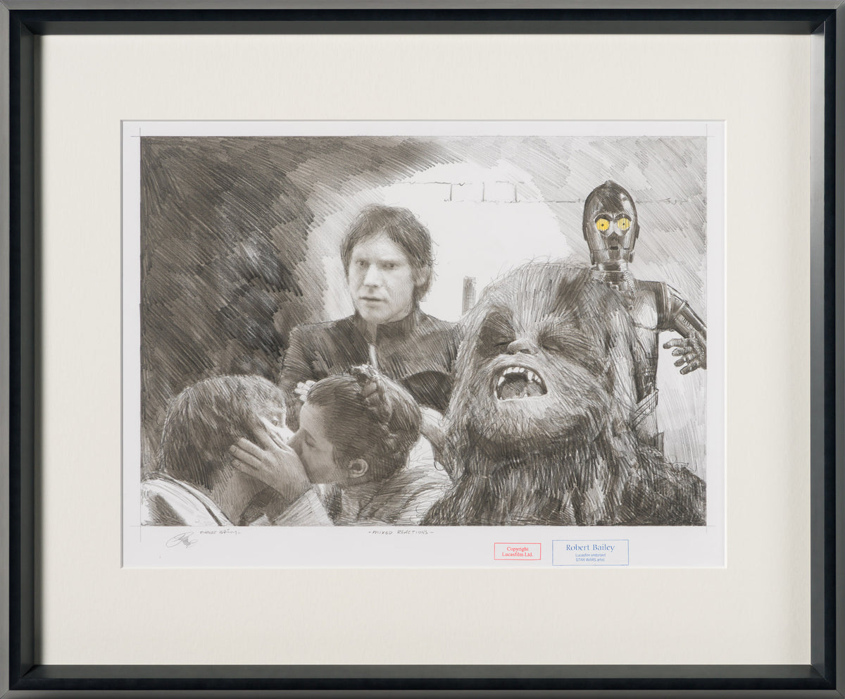 RBA ORI SKT 34527 Mixed Reactions 30
