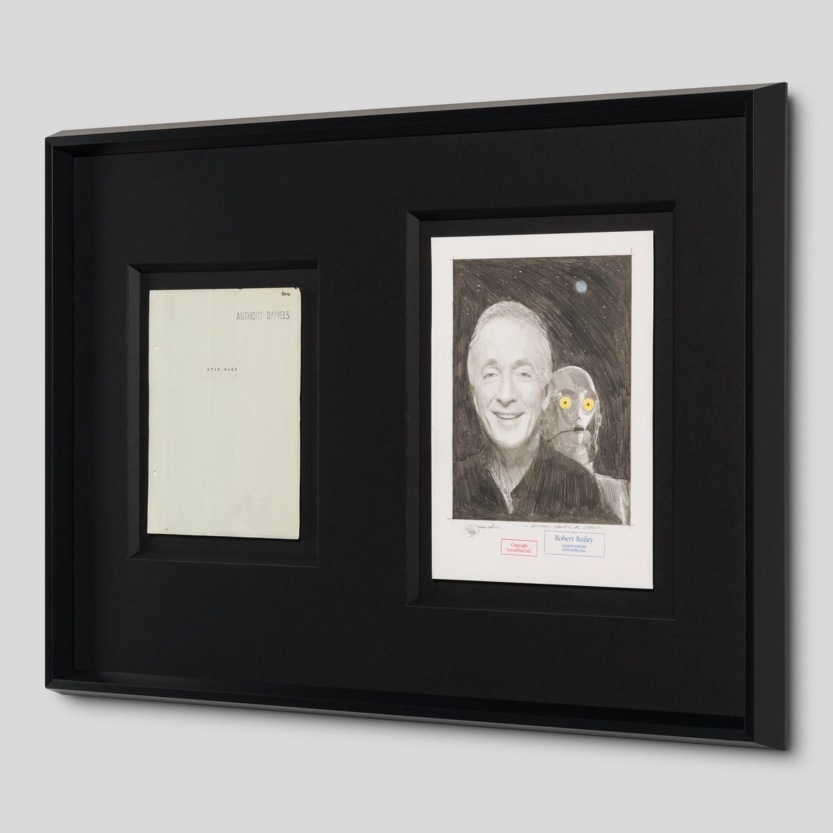 RBA ORI SKT 34748 Anthony Daniels As CP30 2