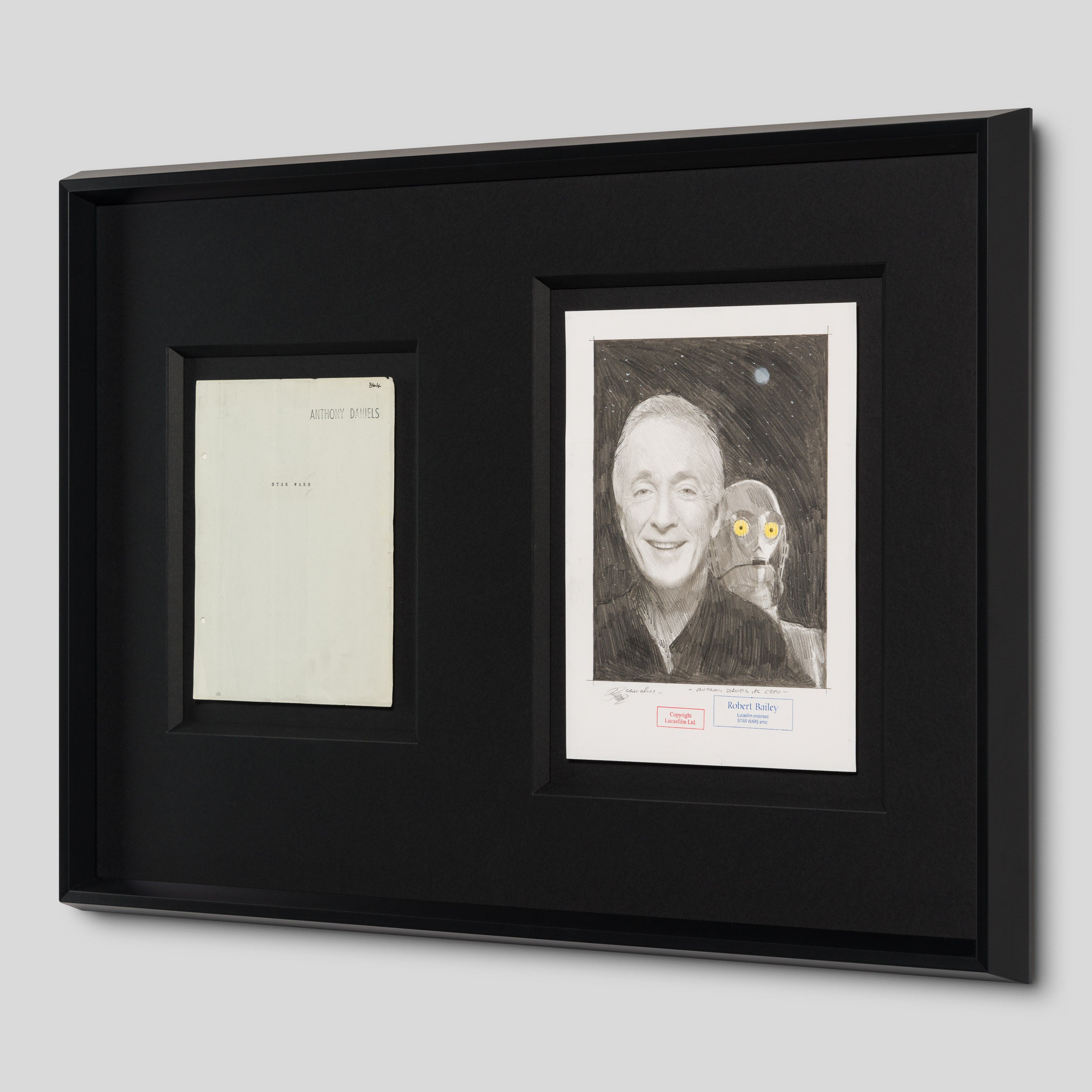 RBA ORI SKT 34748 Anthony Daniels As CP30 2