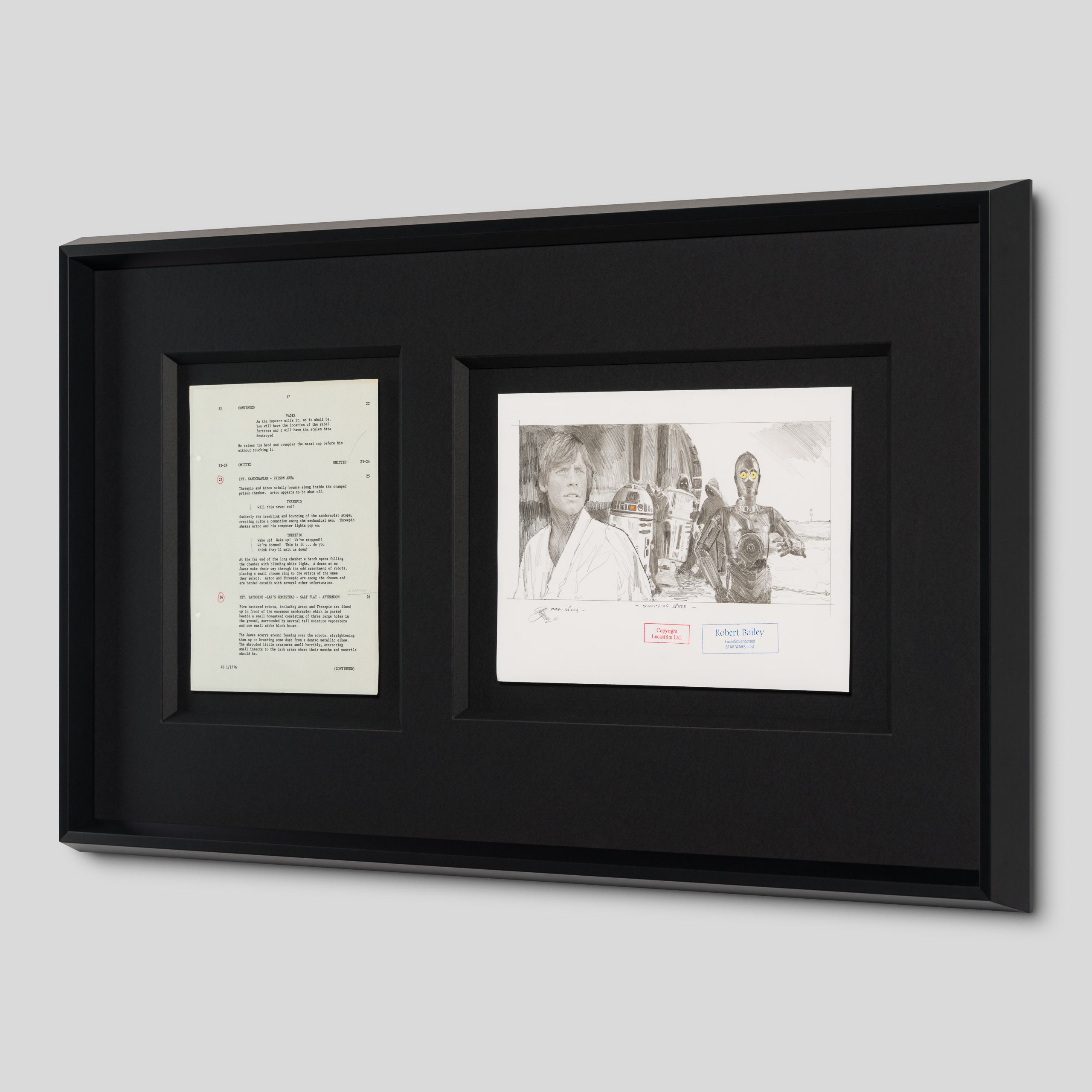 RBA ORI SKT 34756 Shopping Spree 2