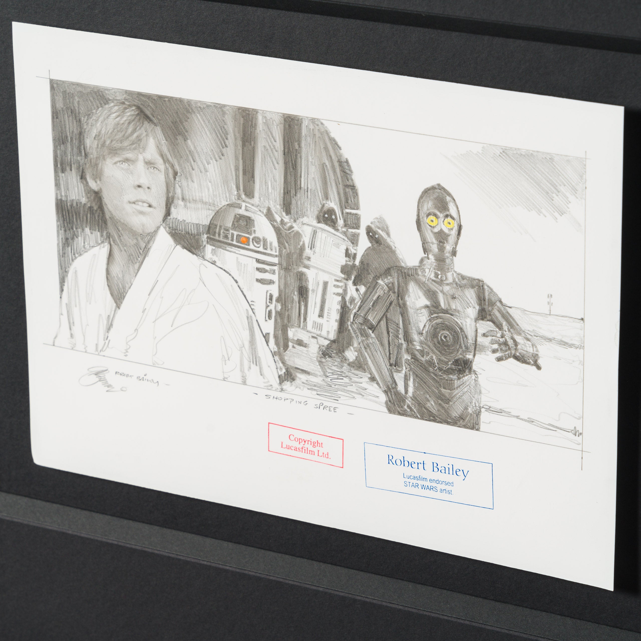 RBA ORI SKT 34756 Shopping Spree 4