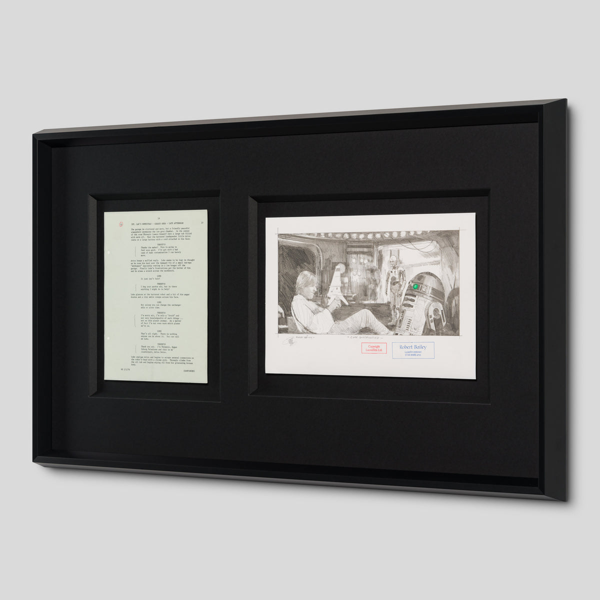 RBA ORI SKT 34764 Luke Disgruntled 2