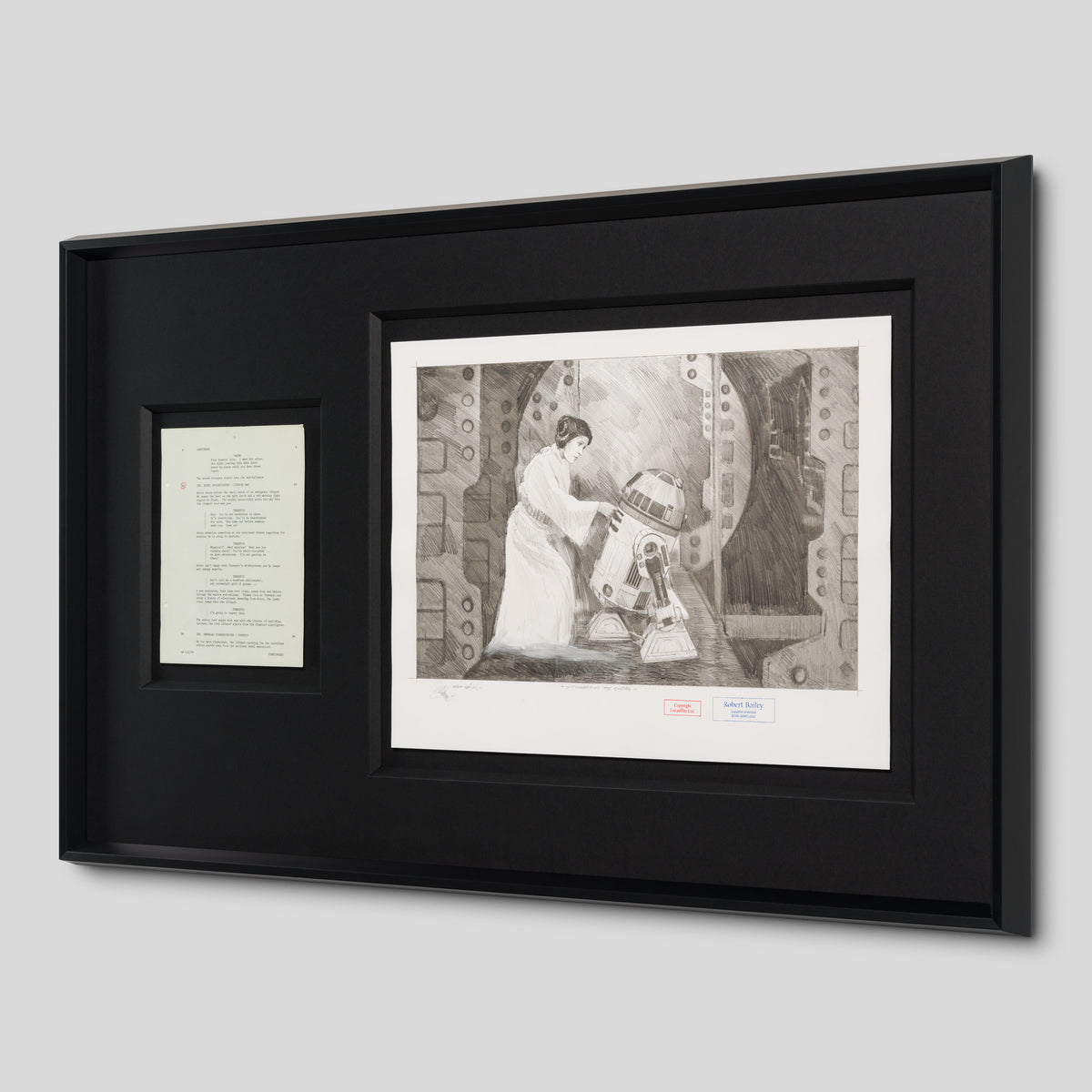 RBA ORI SKT 34771 Outsmarting The Empire 2