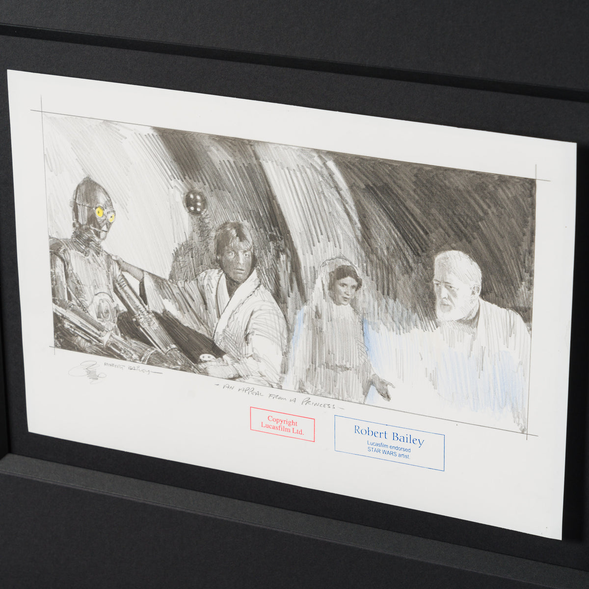 RBA ORI SKT 34784 An Appeal From A Princess 3