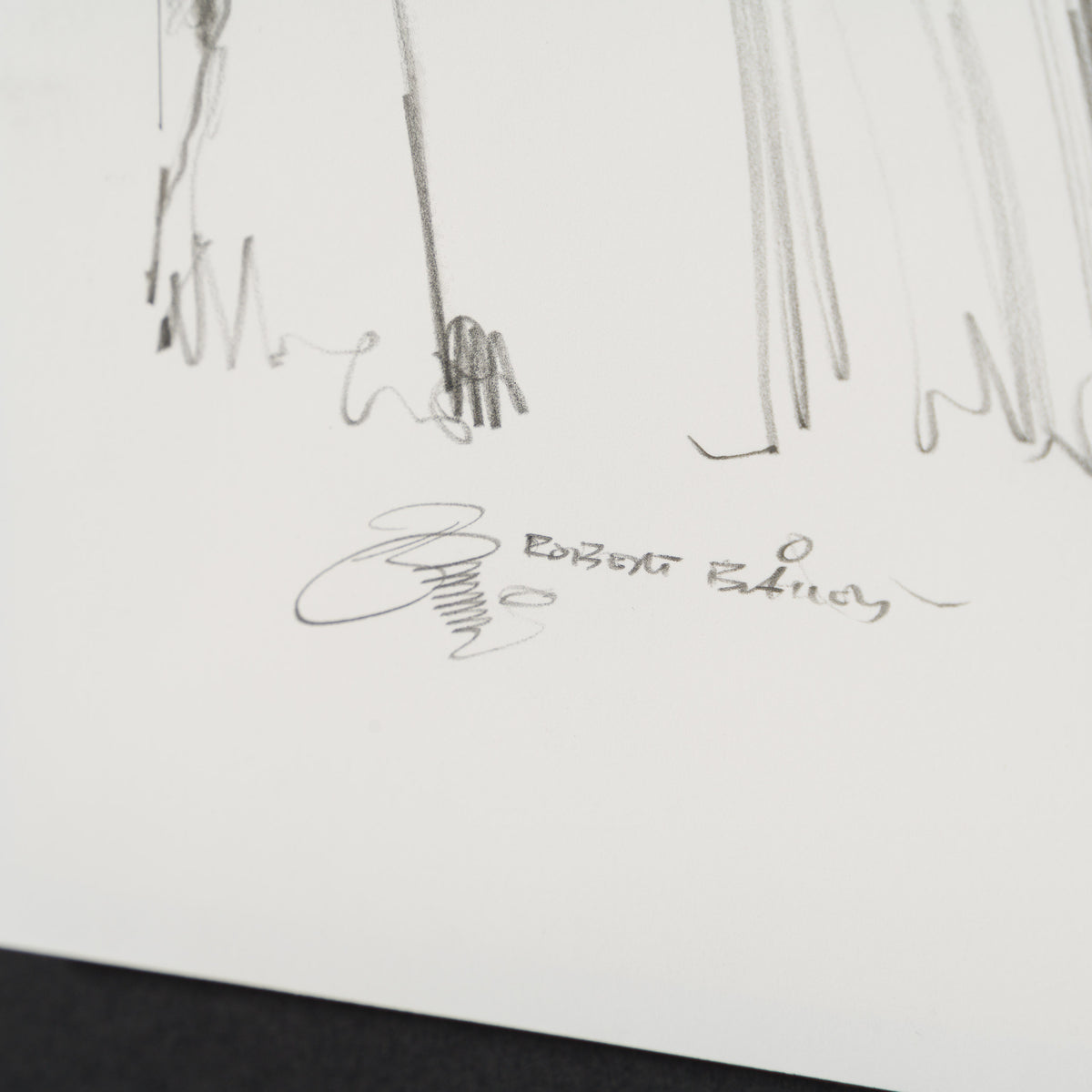 RBA ORI SKT 34918 Not Joking About Junk 5