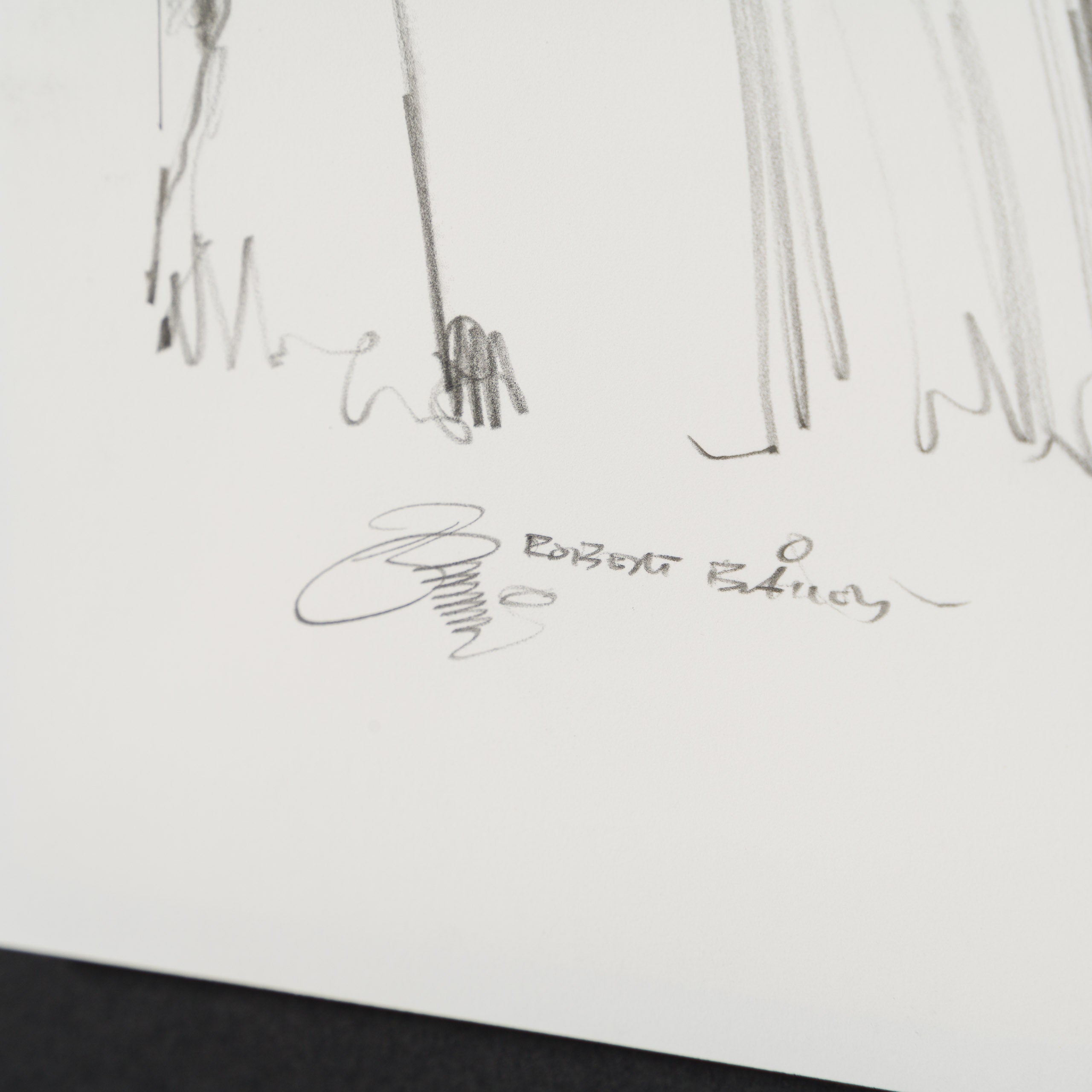 RBA ORI SKT 34918 Not Joking About Junk 5